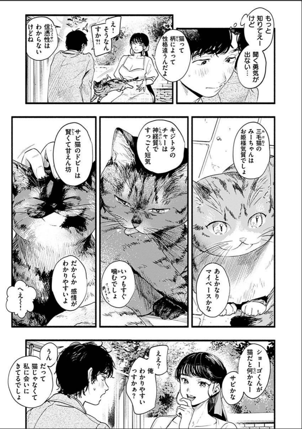 sample 5