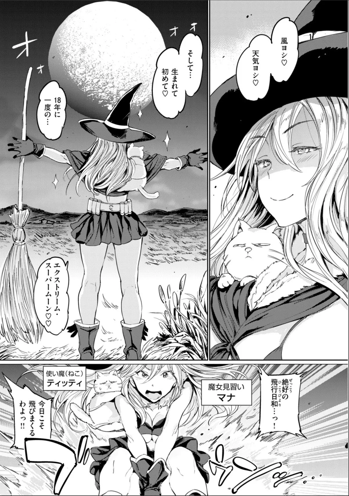 sample 11