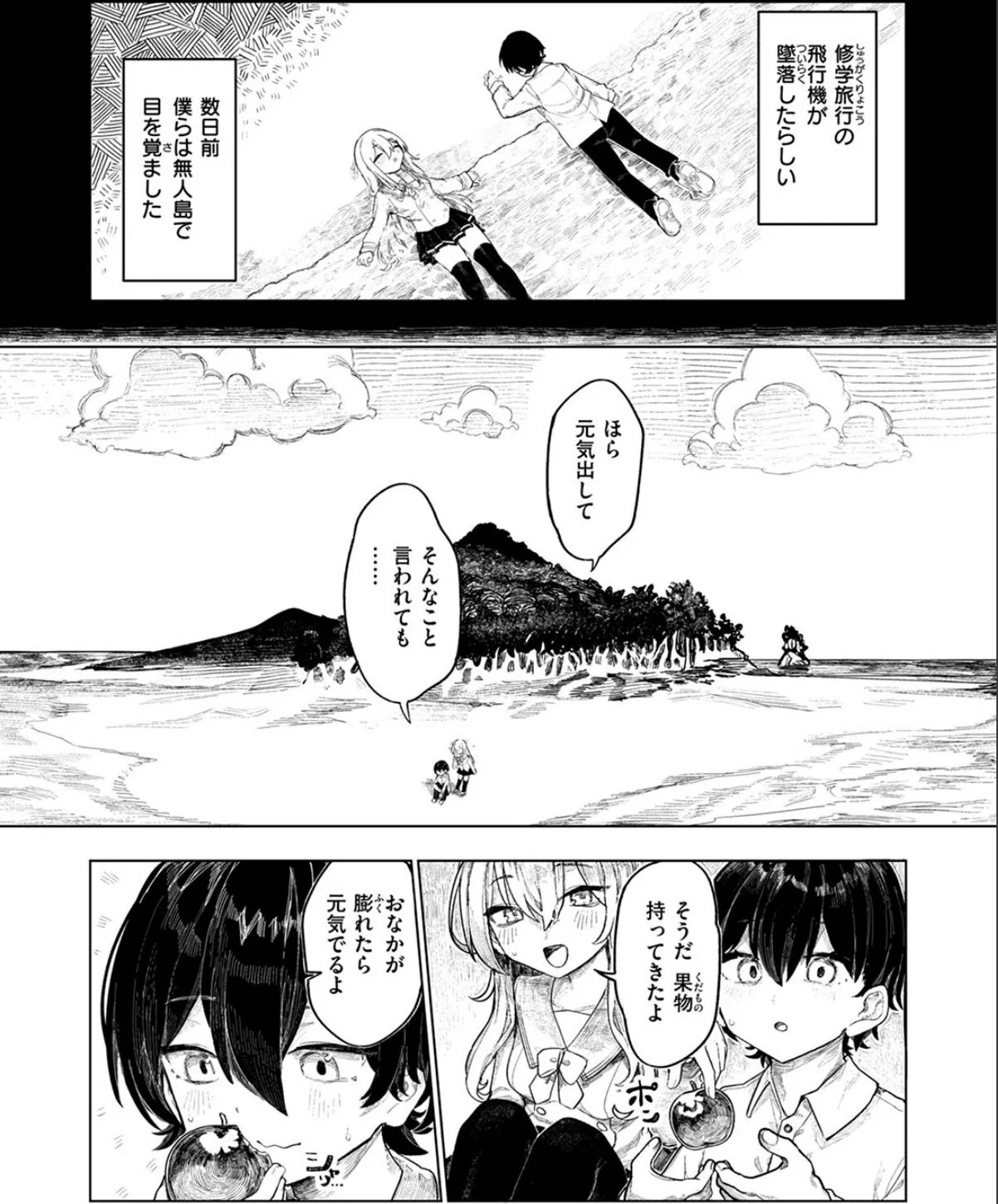 sample 4