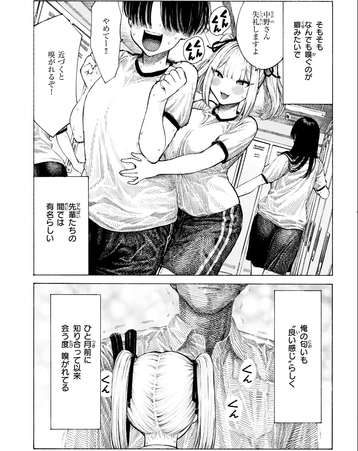 sample 8