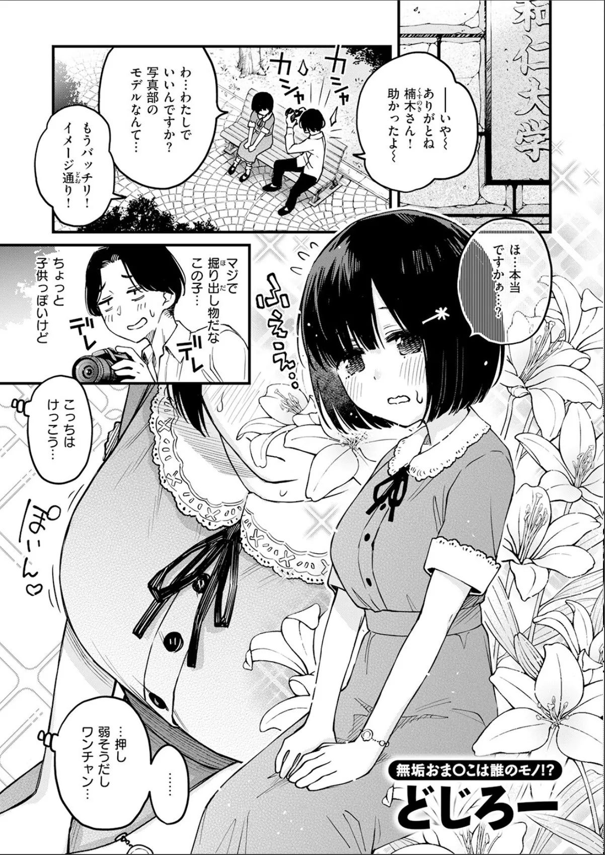 sample 11