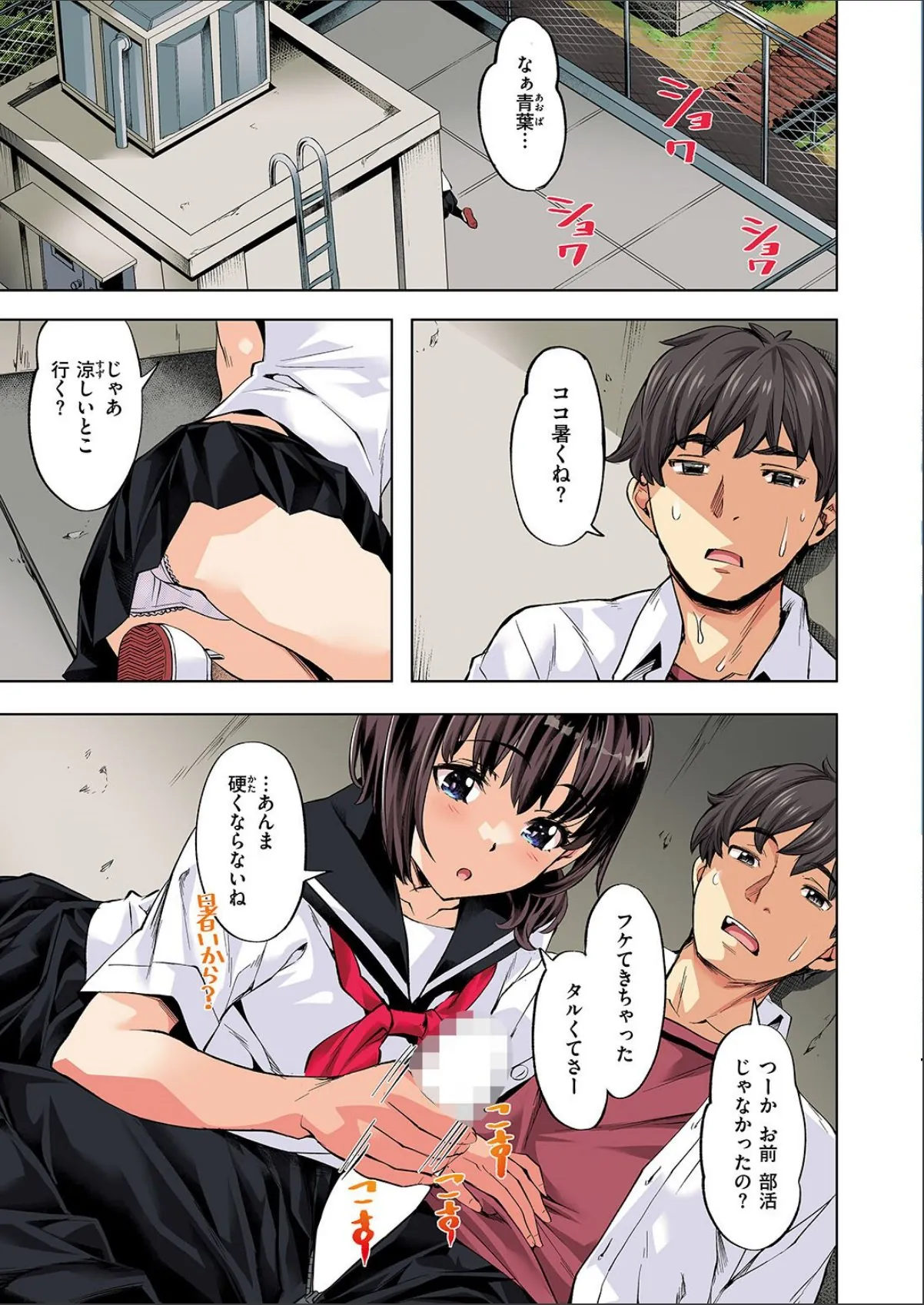 sample 5