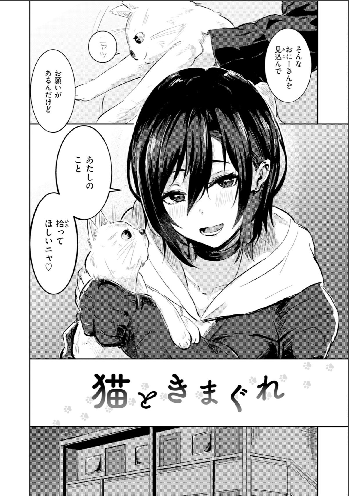 sample 12