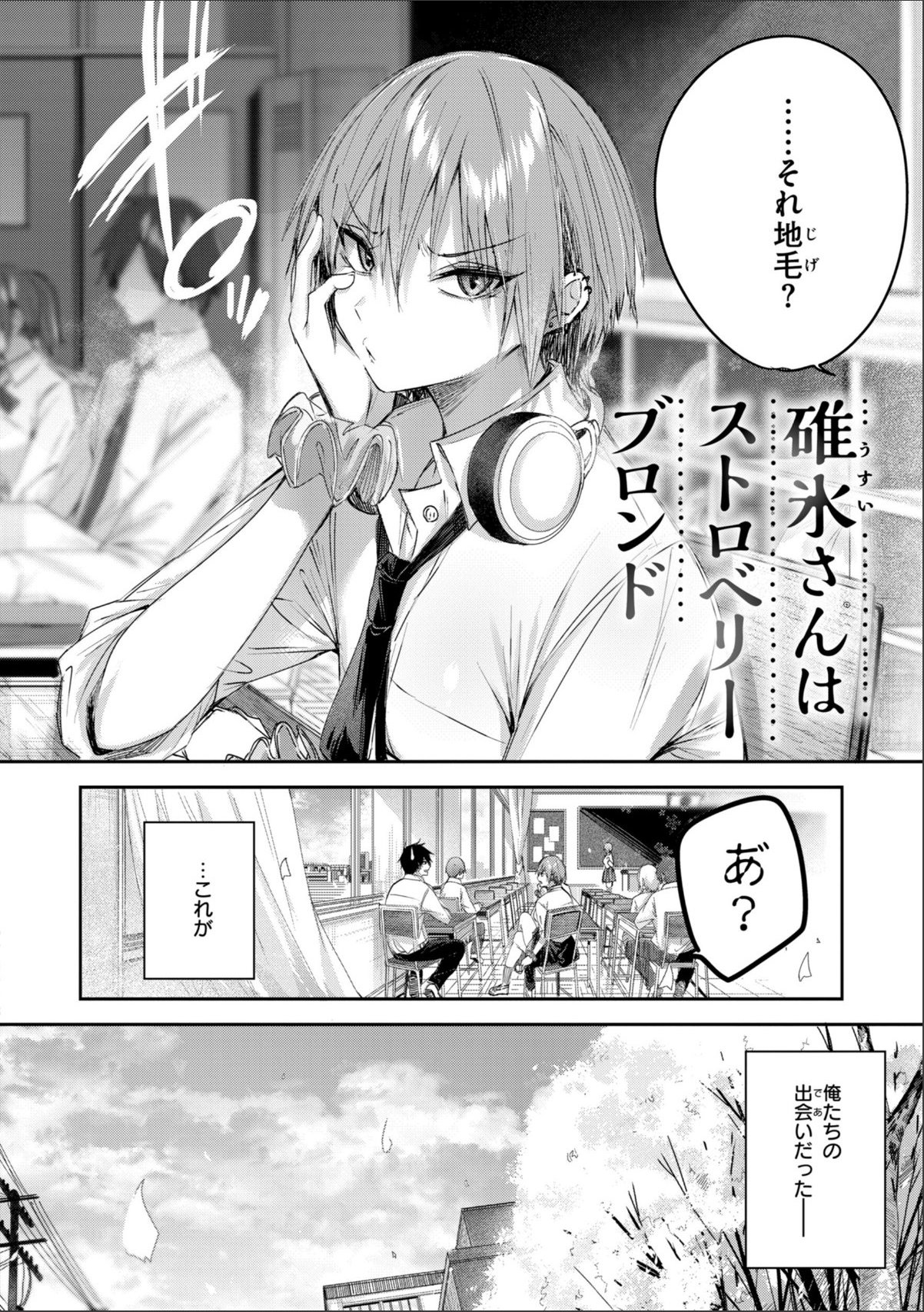 sample 4