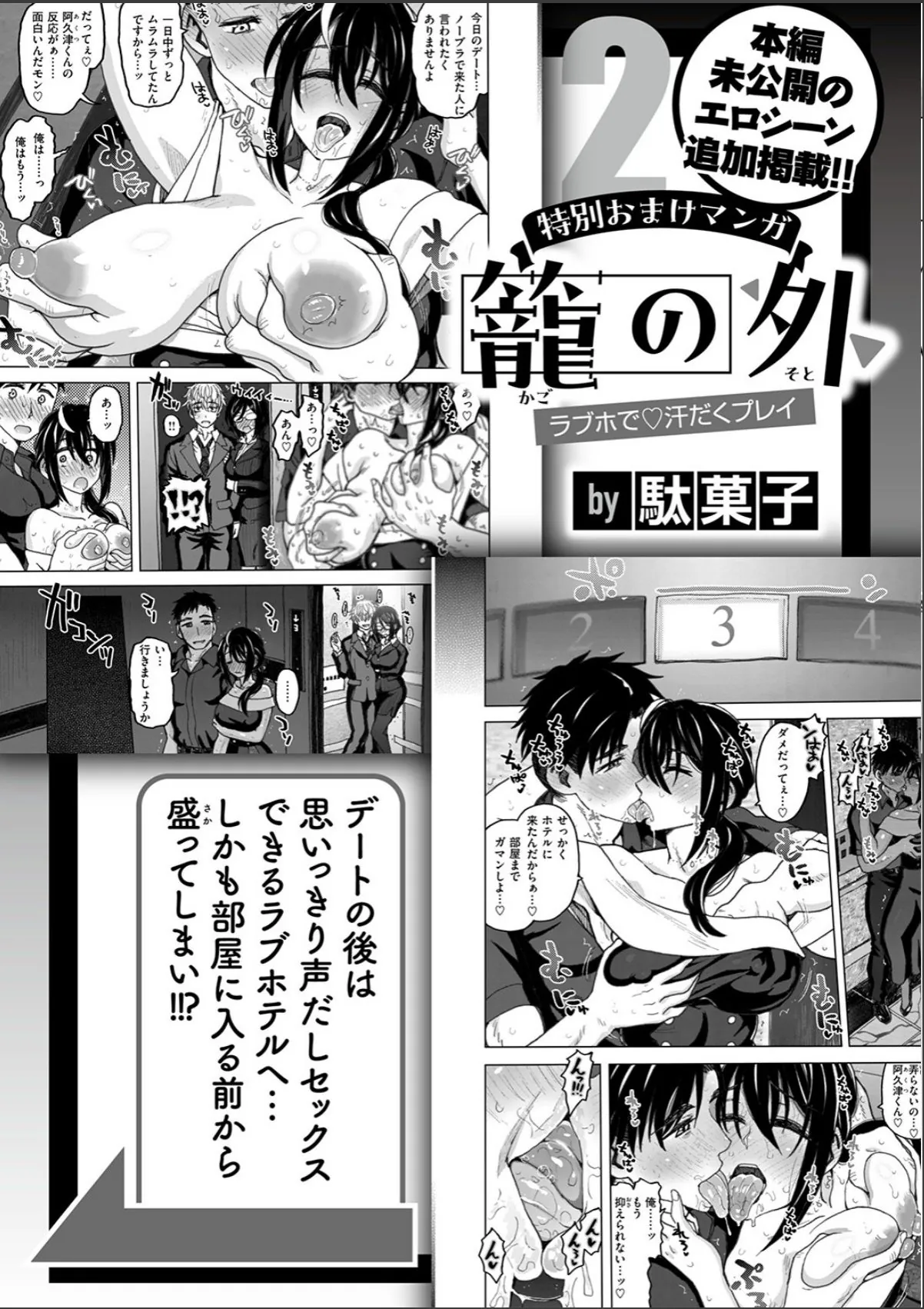 sample 12