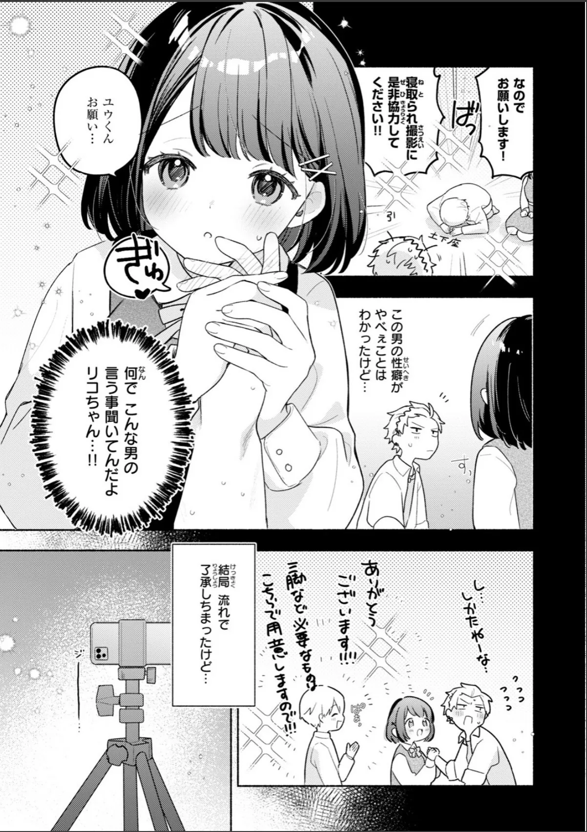 sample 12