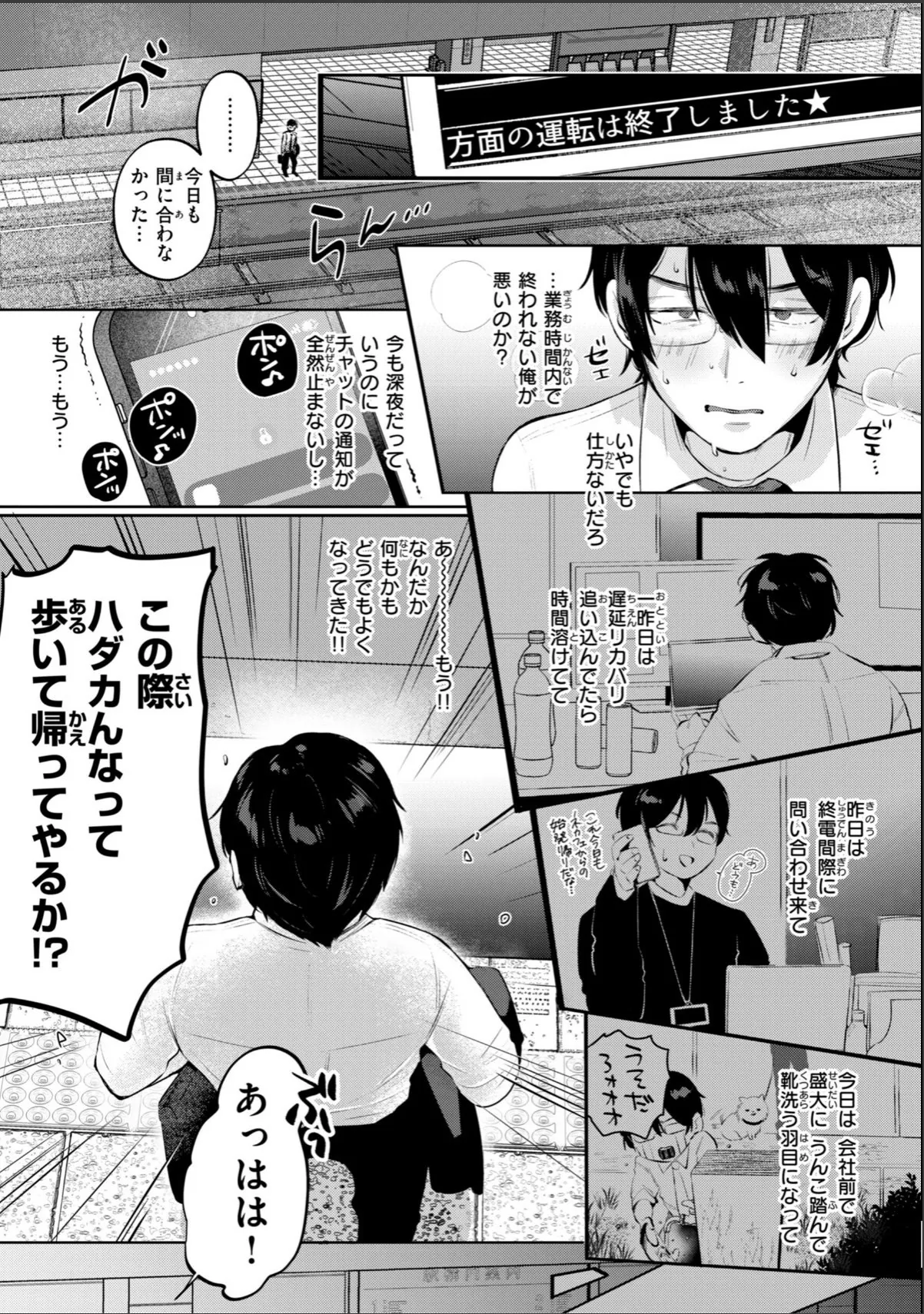 sample 11