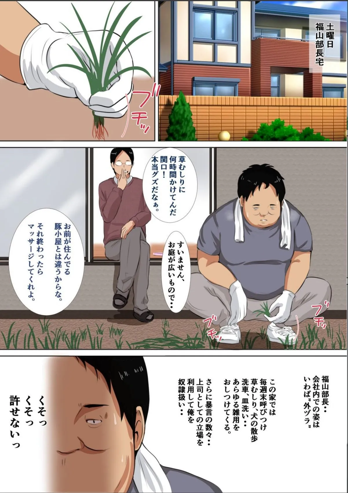sample 5