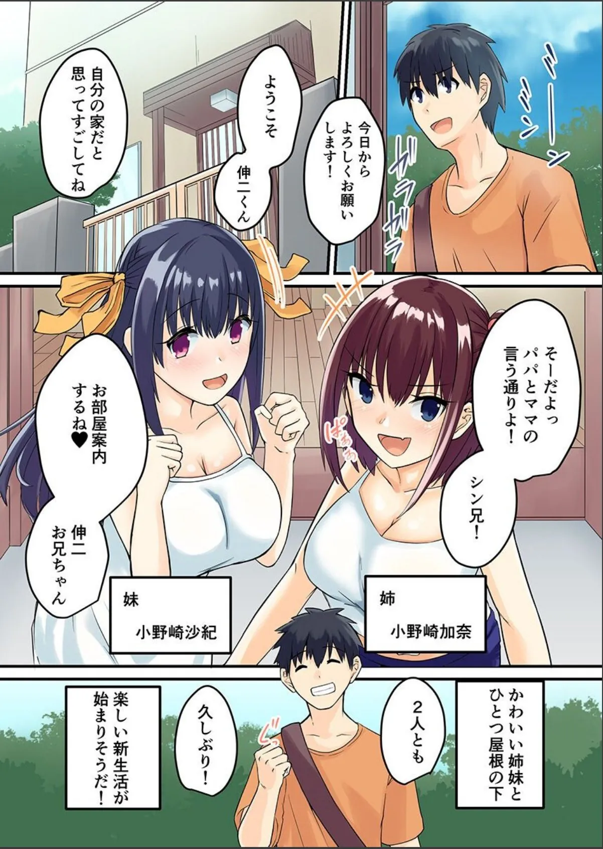 sample 2