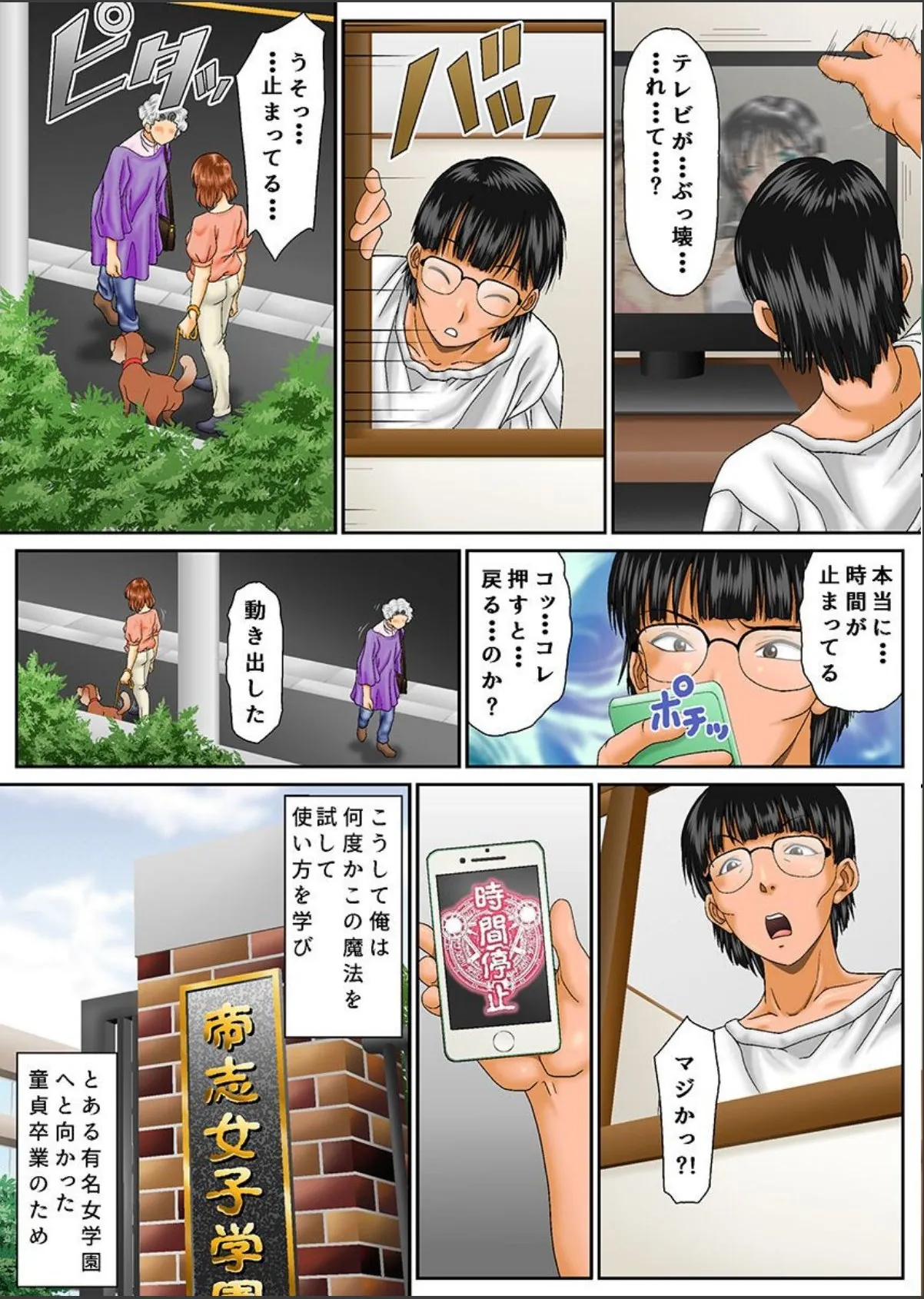 sample 8