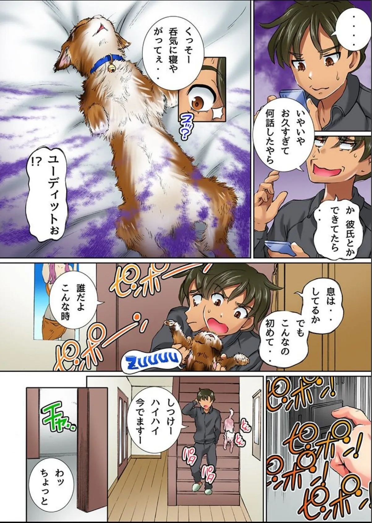 sample 7