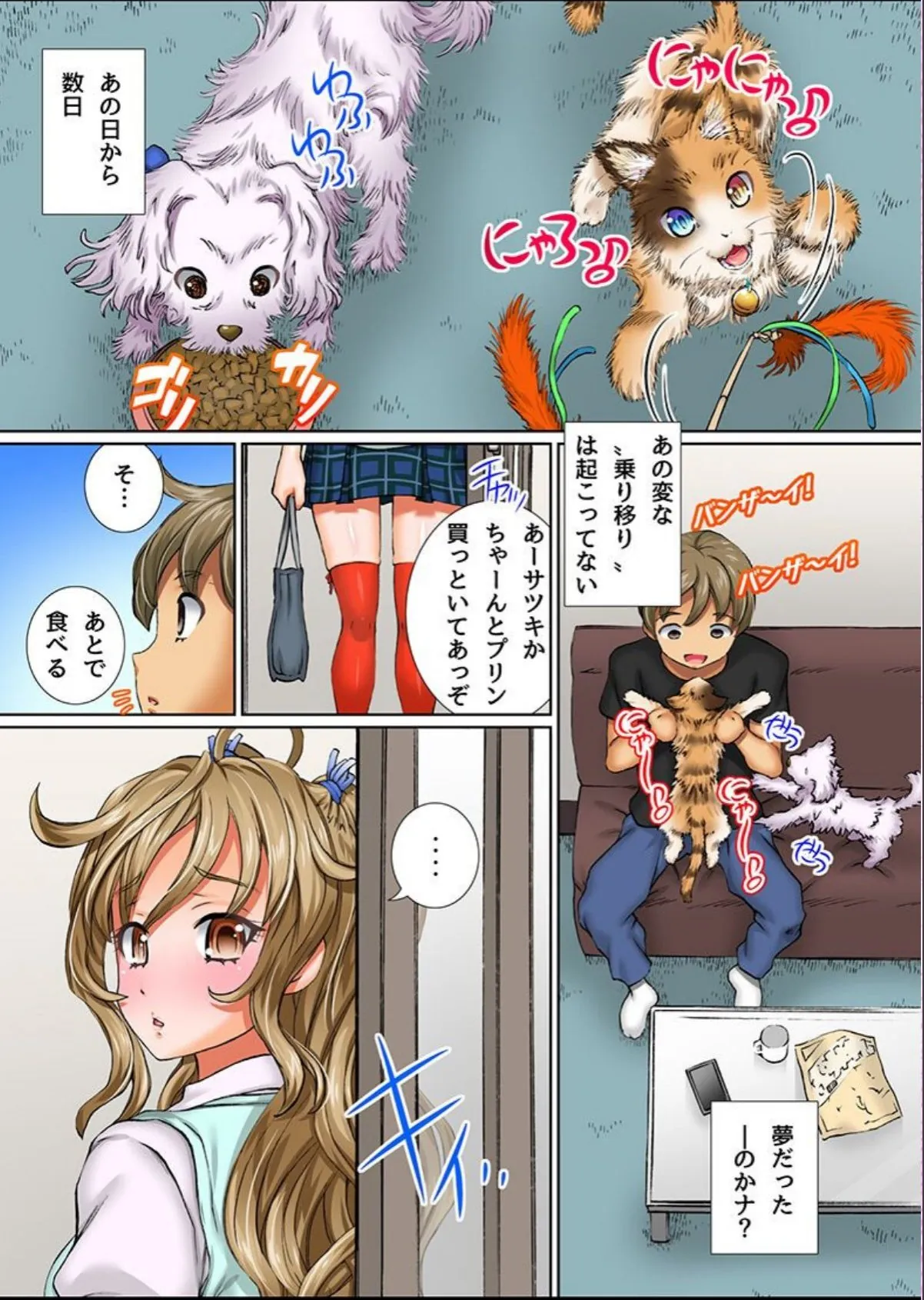 sample 4
