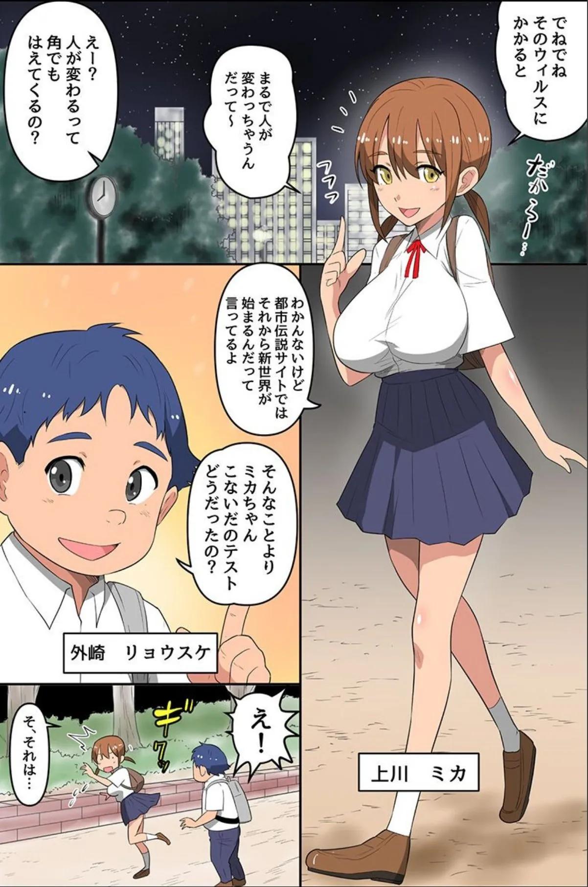 sample 4