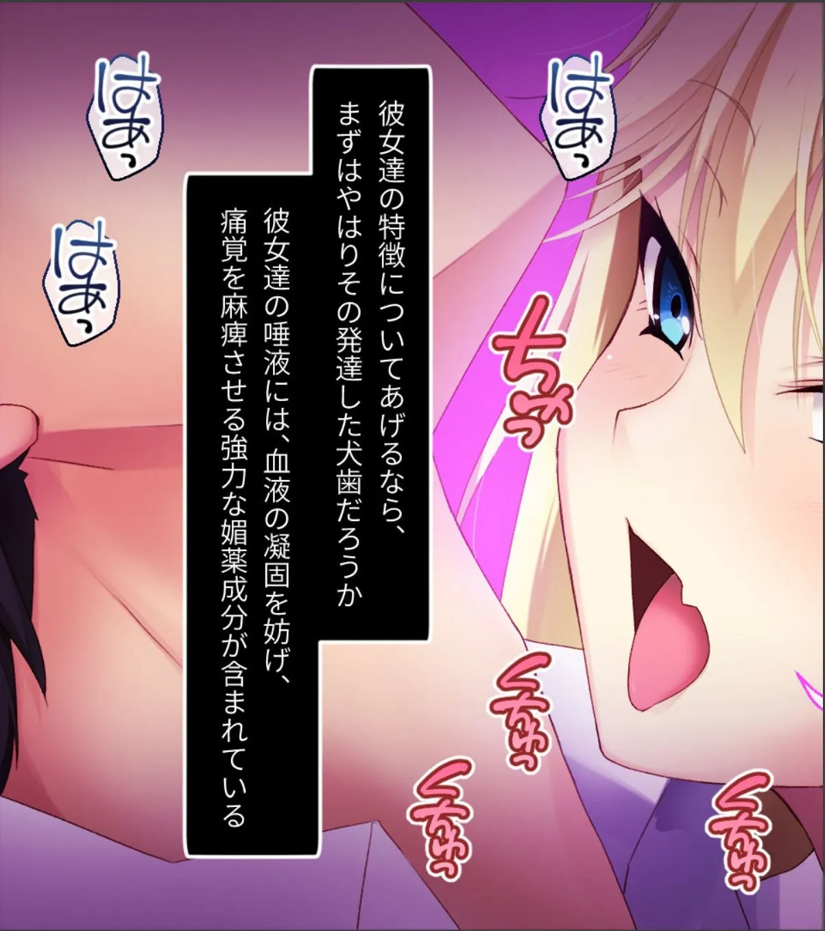 sample 4