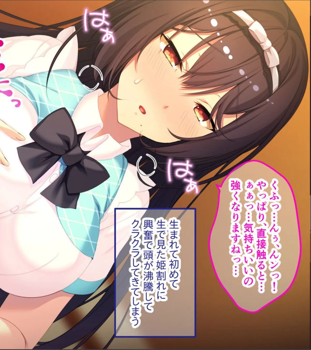 sample 6