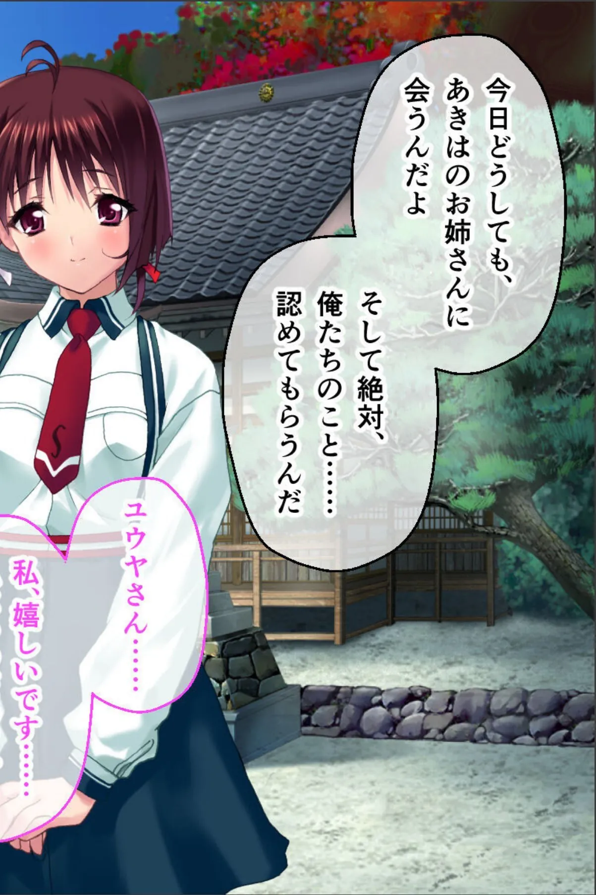 sample 4