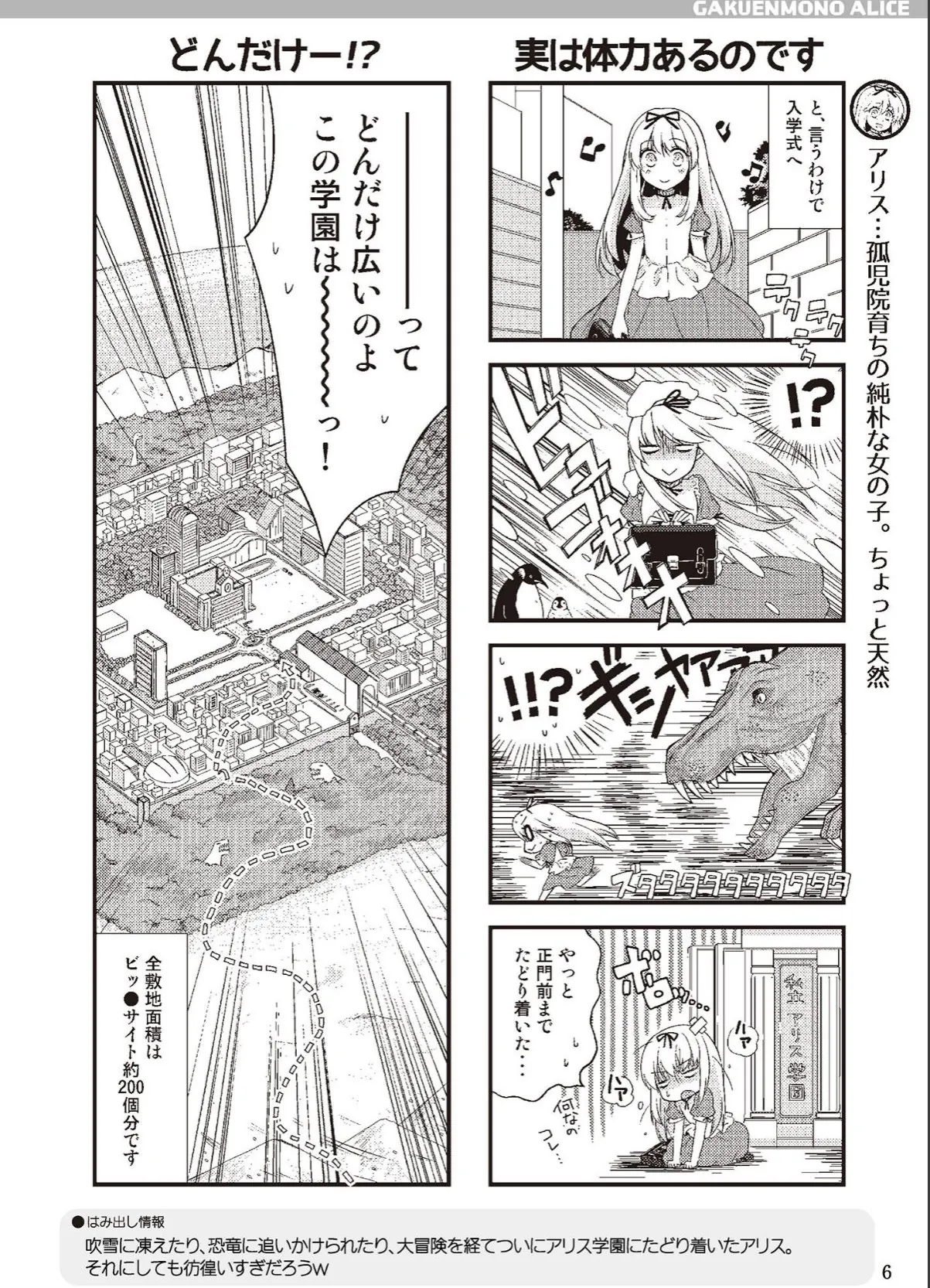 sample 6