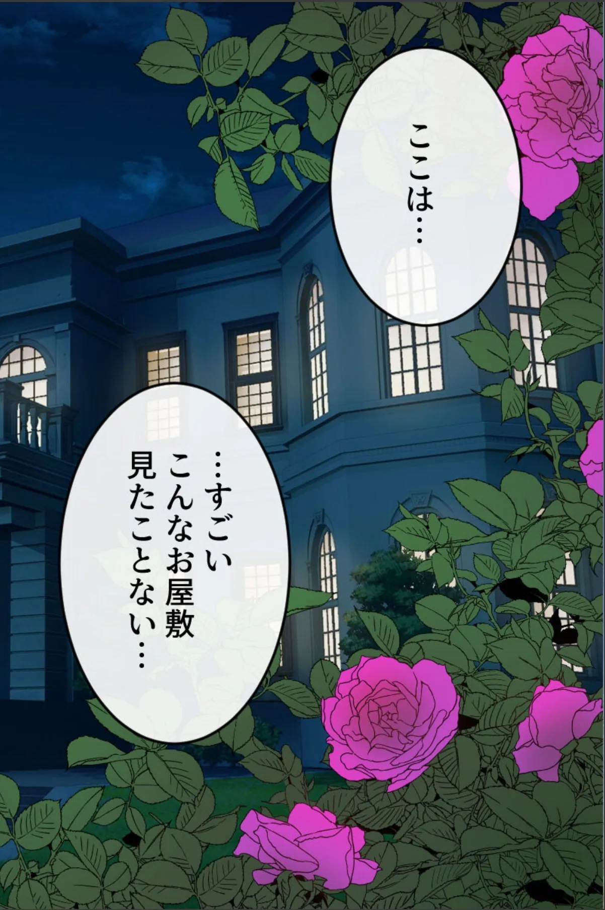 sample 6