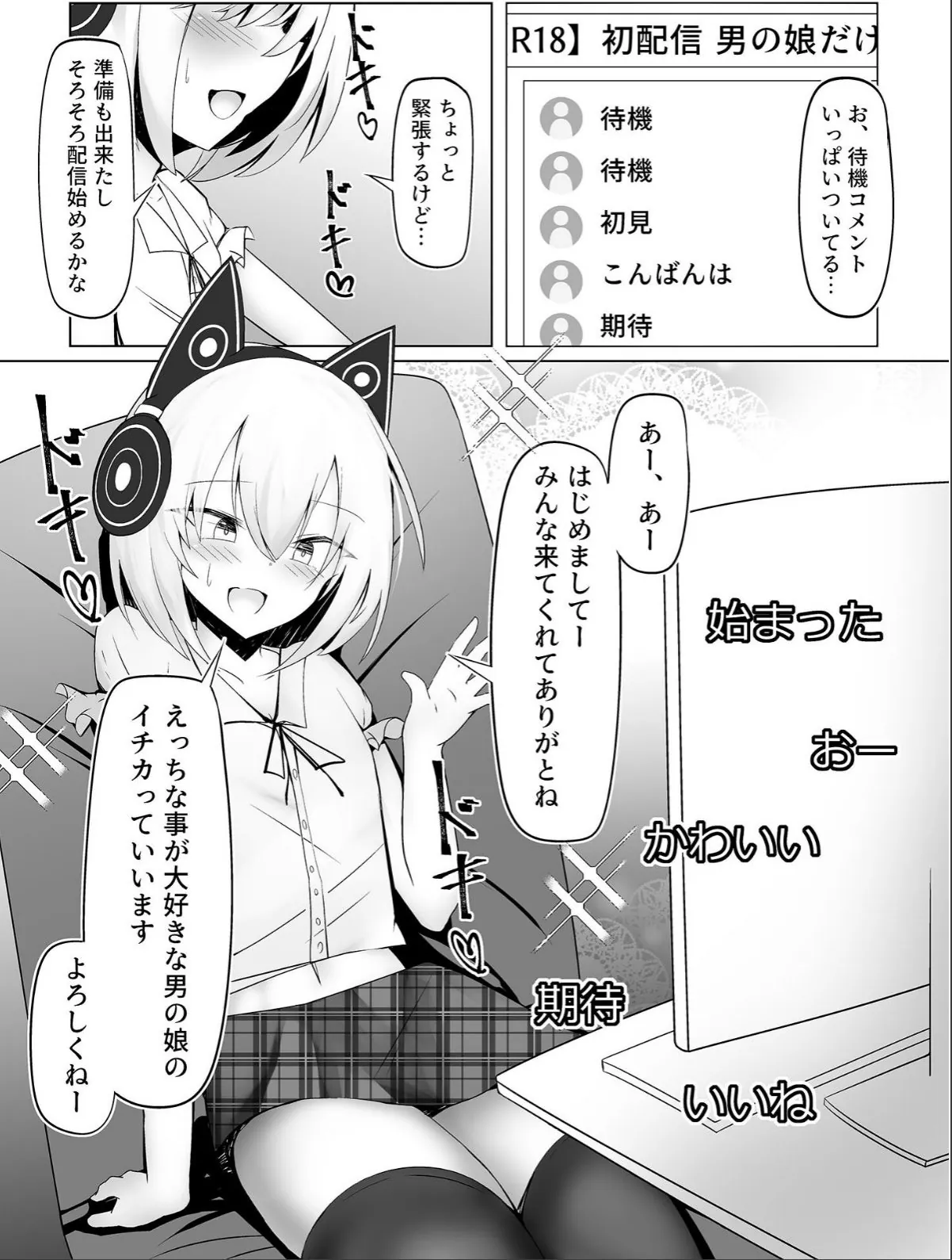 sample 4
