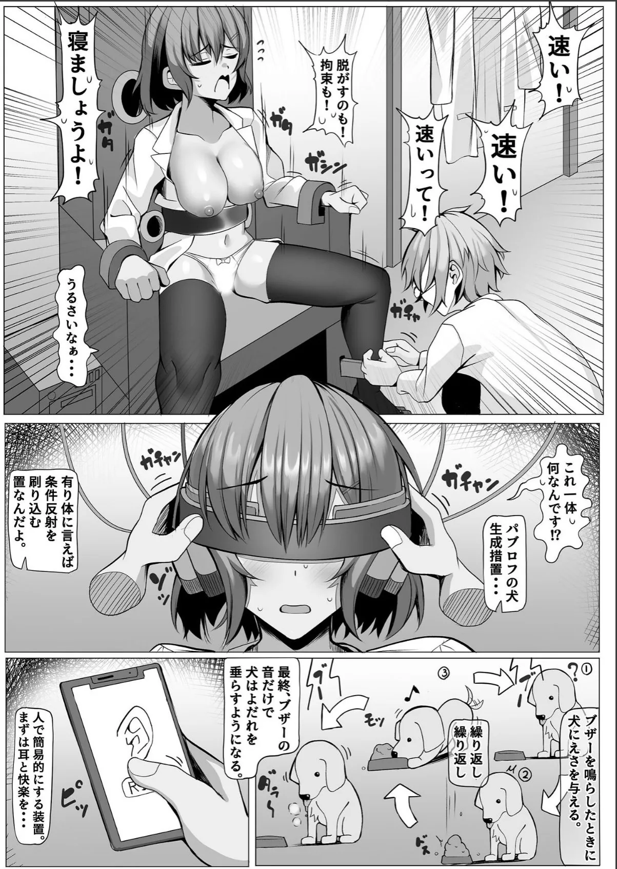 sample 4