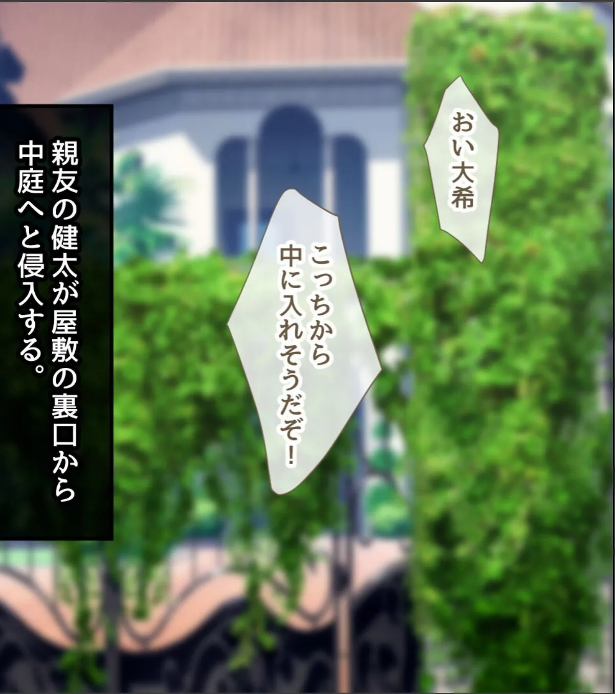 sample 4