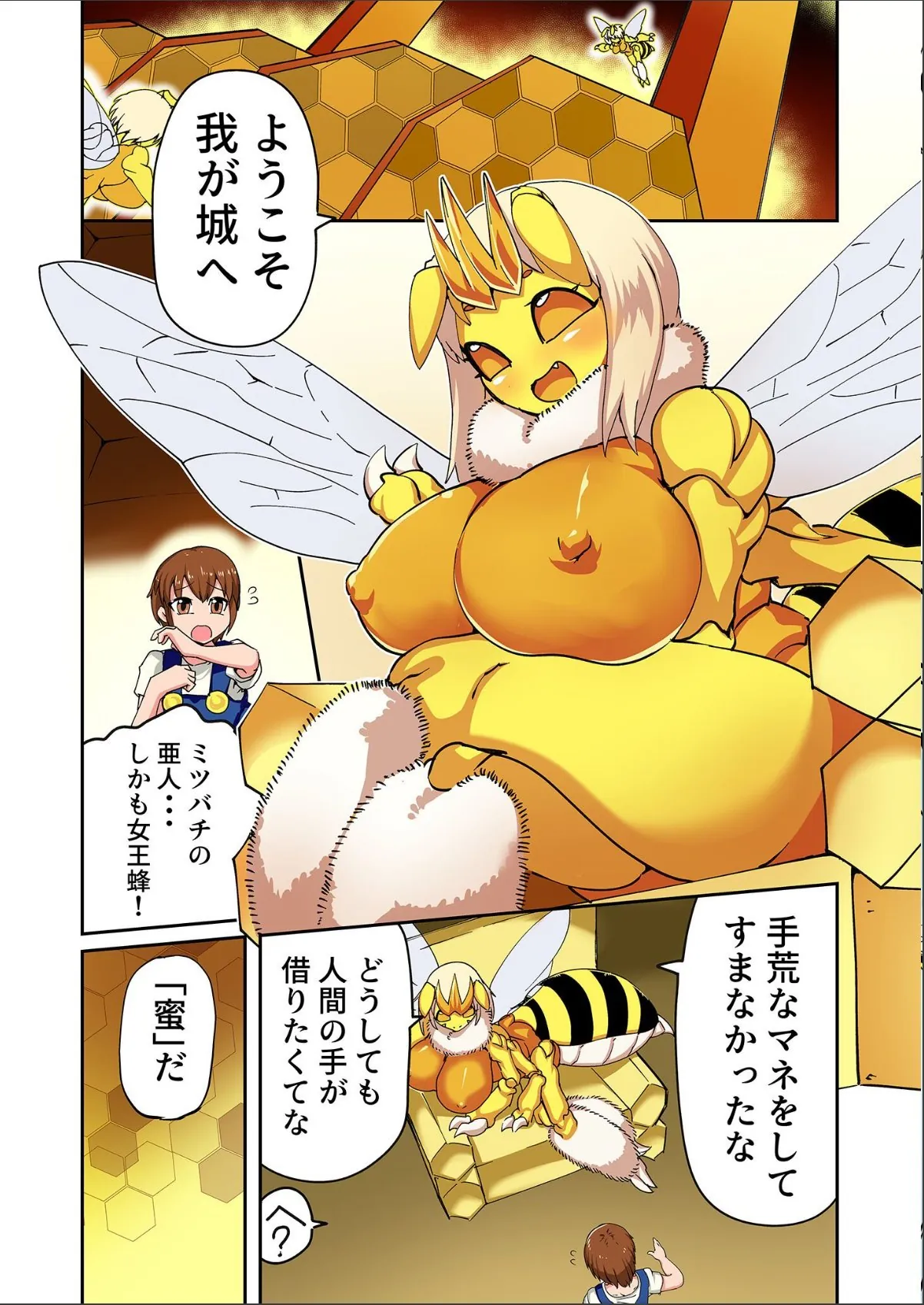 sample 5