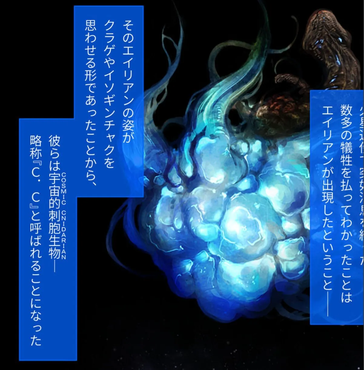 sample 11