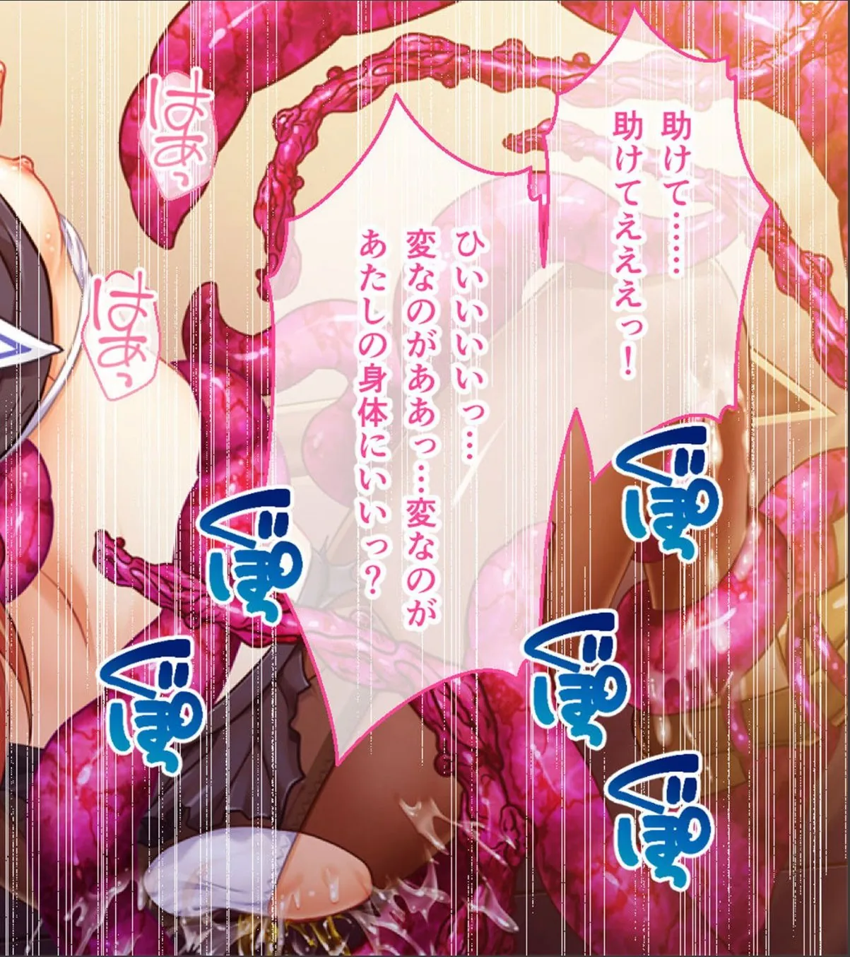 sample 6