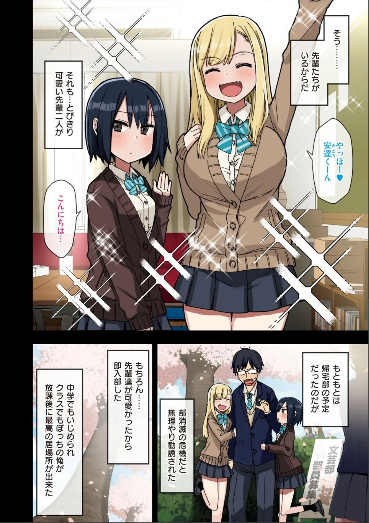 sample 4