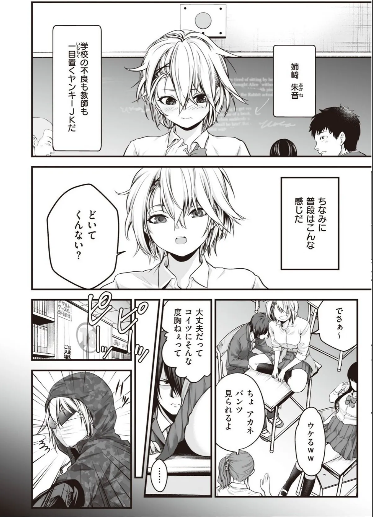 sample 4