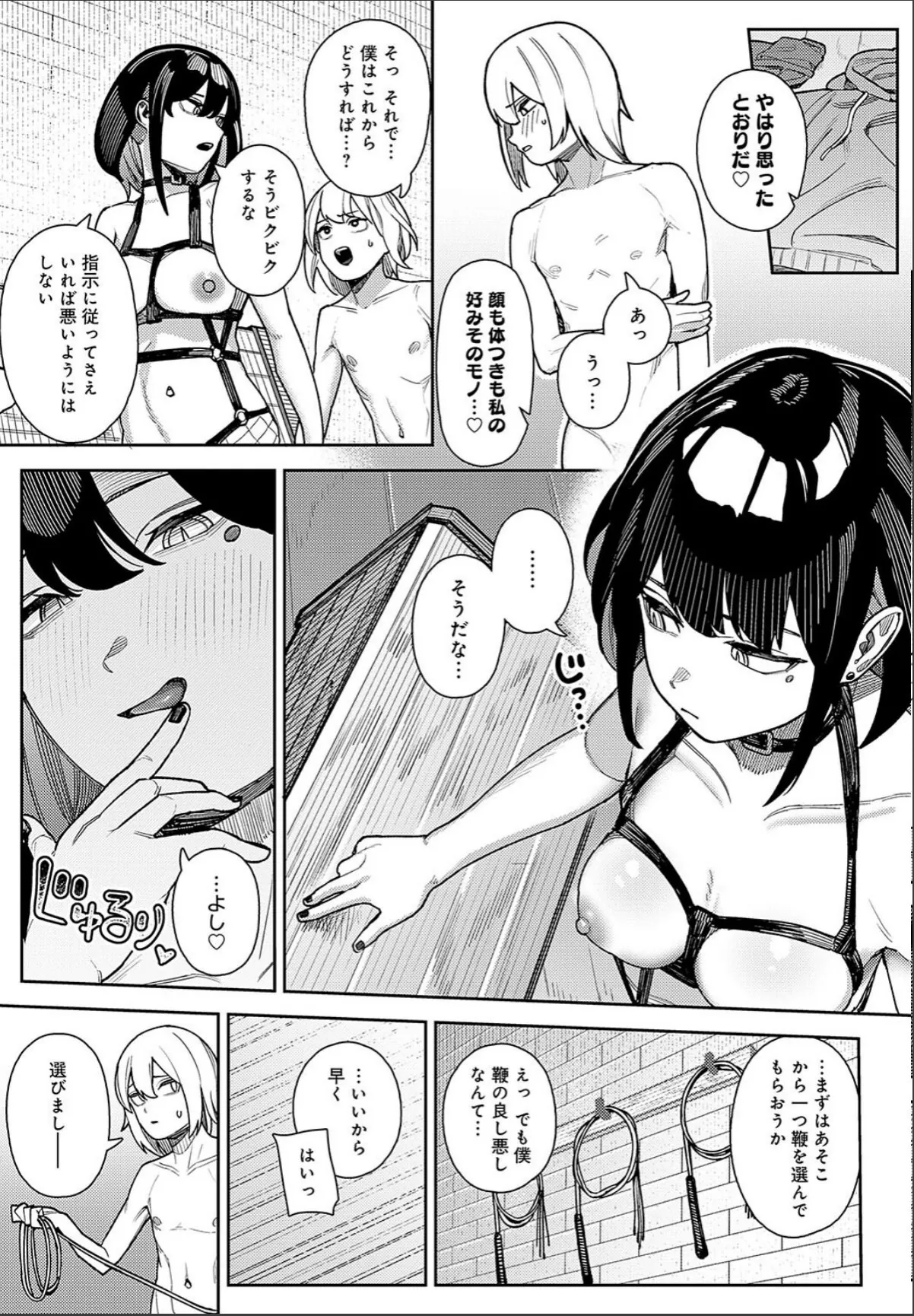 sample 5