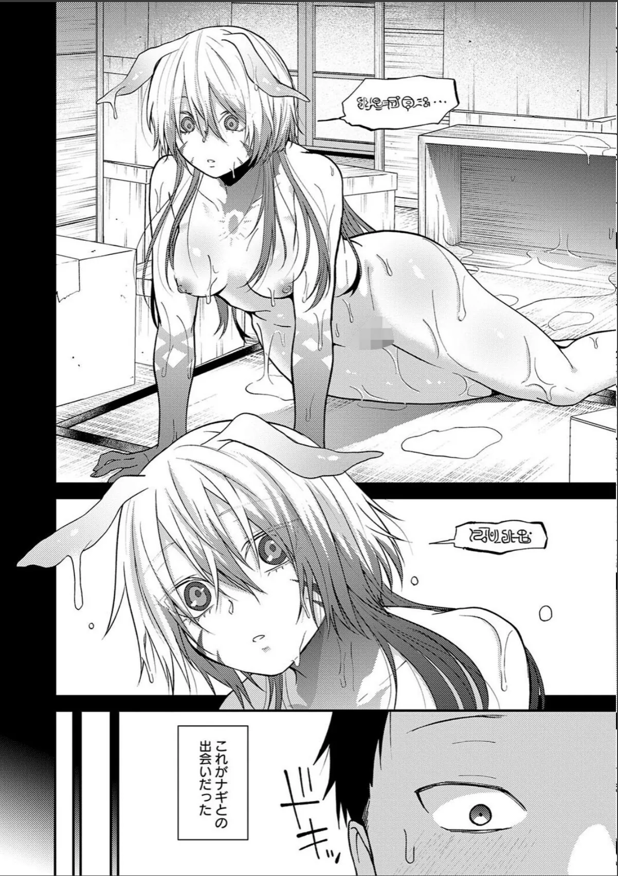 sample 4