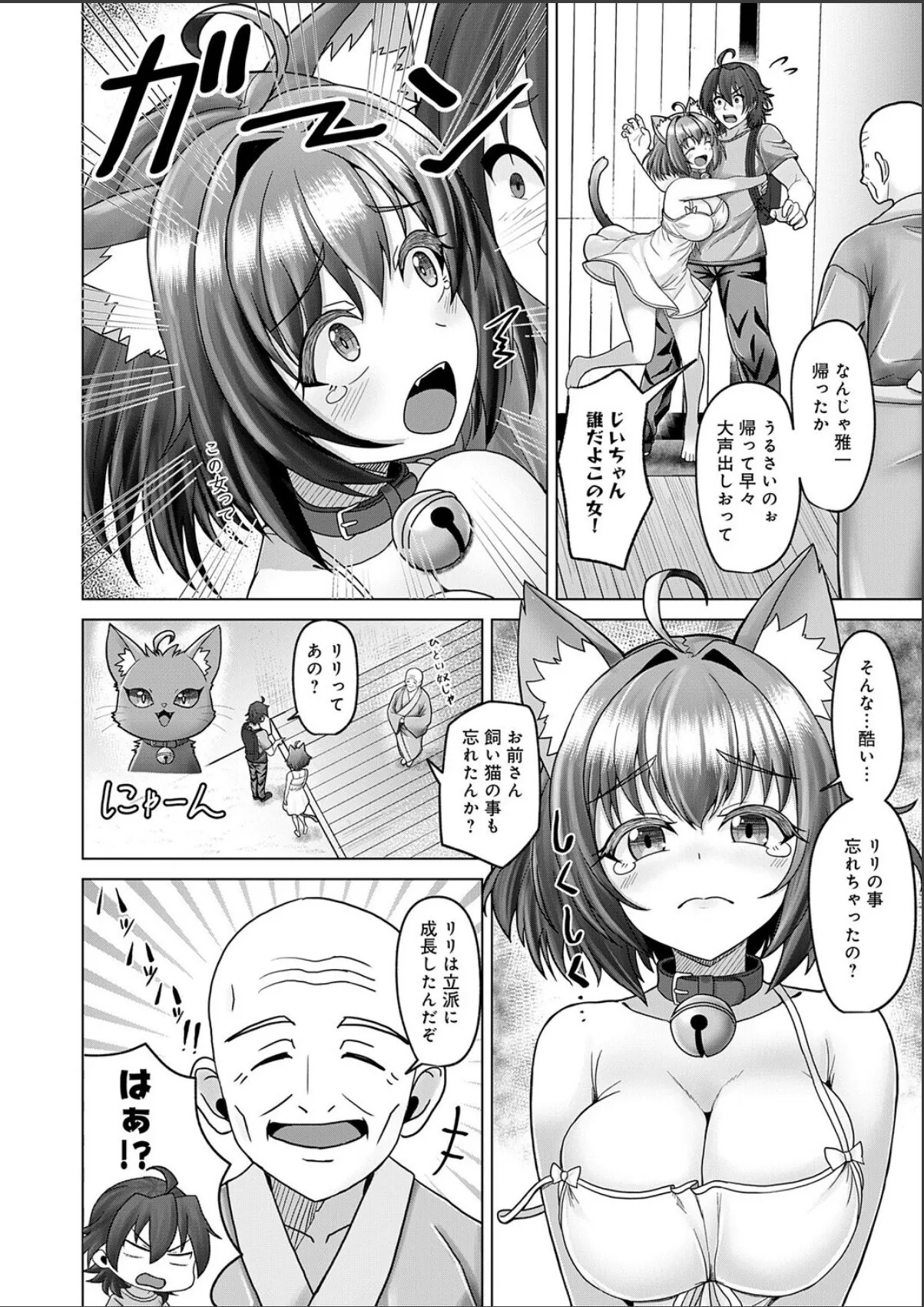 sample 4