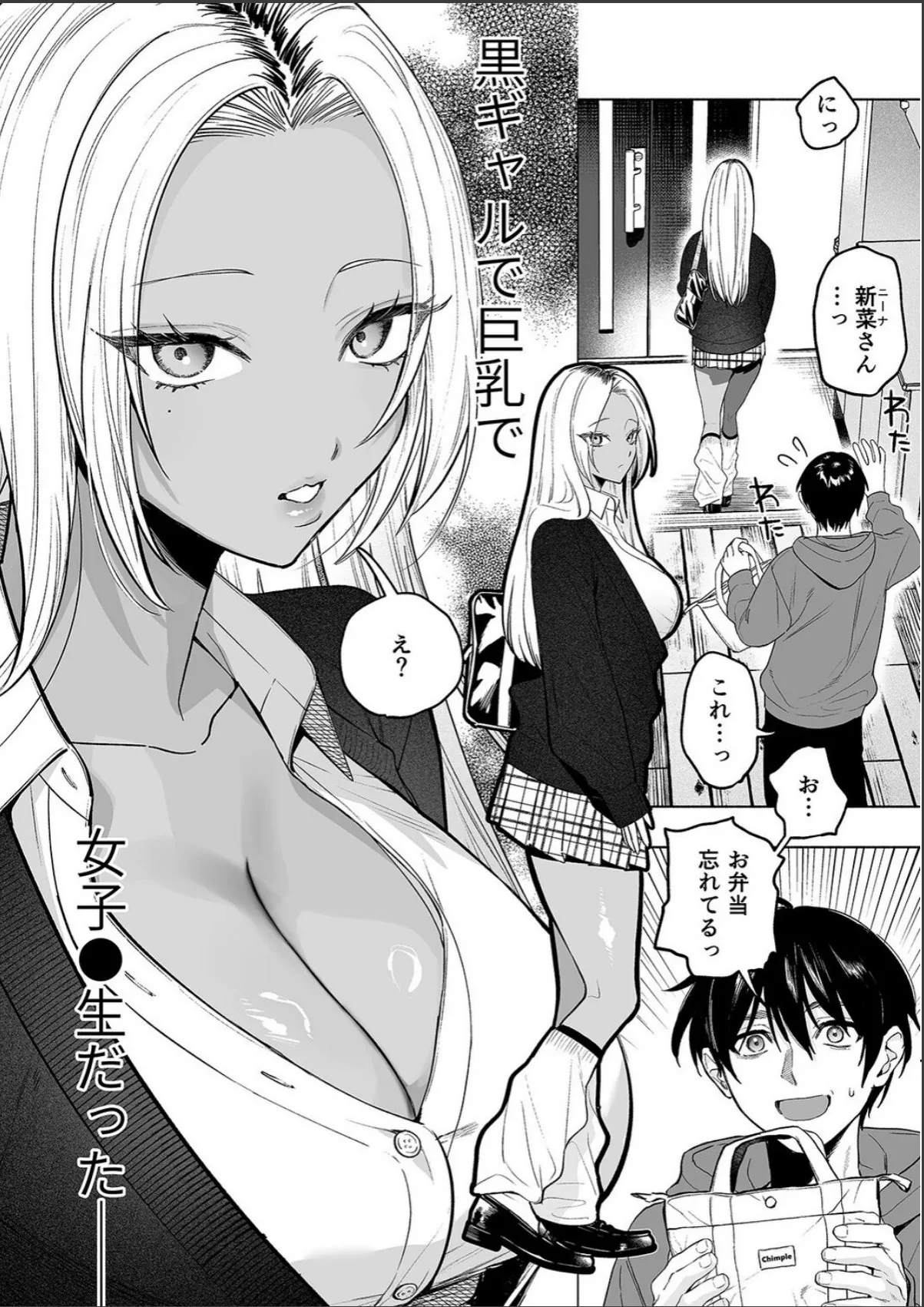 sample 4
