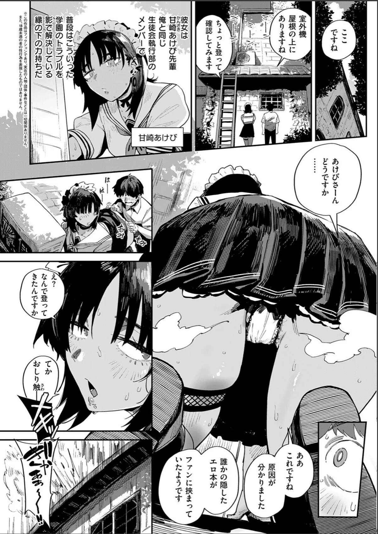 sample 2