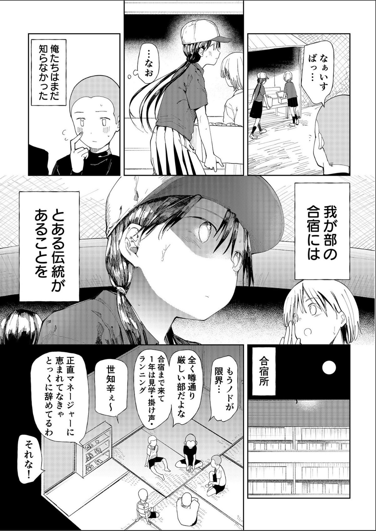 sample 5