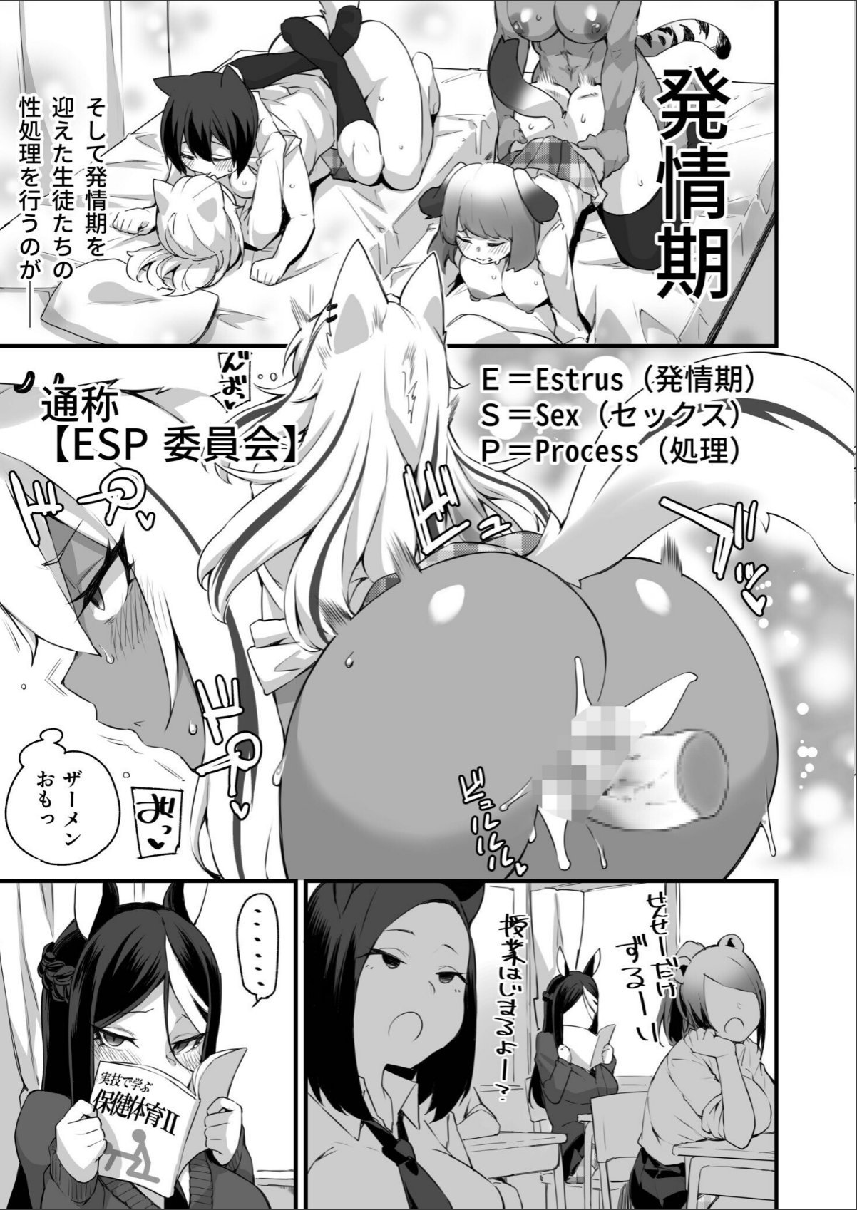 sample 5