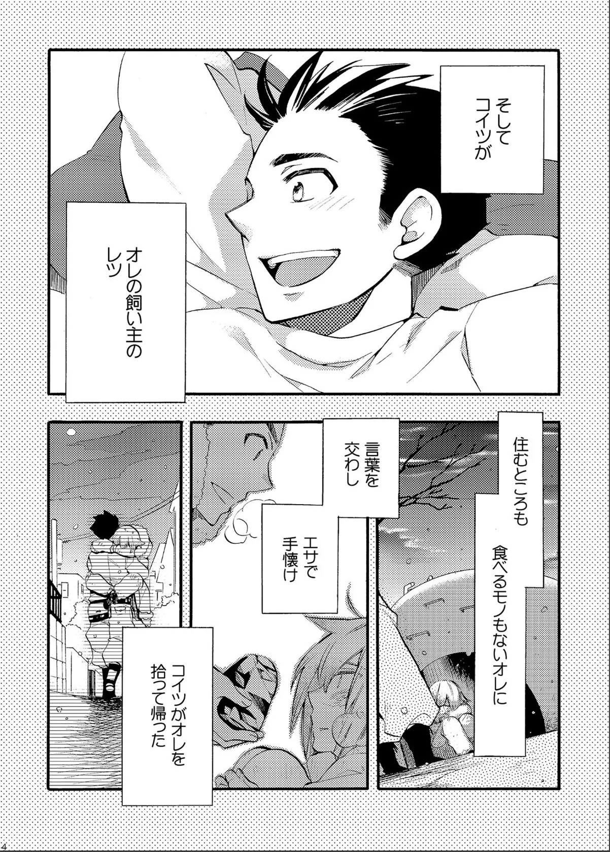 sample 6