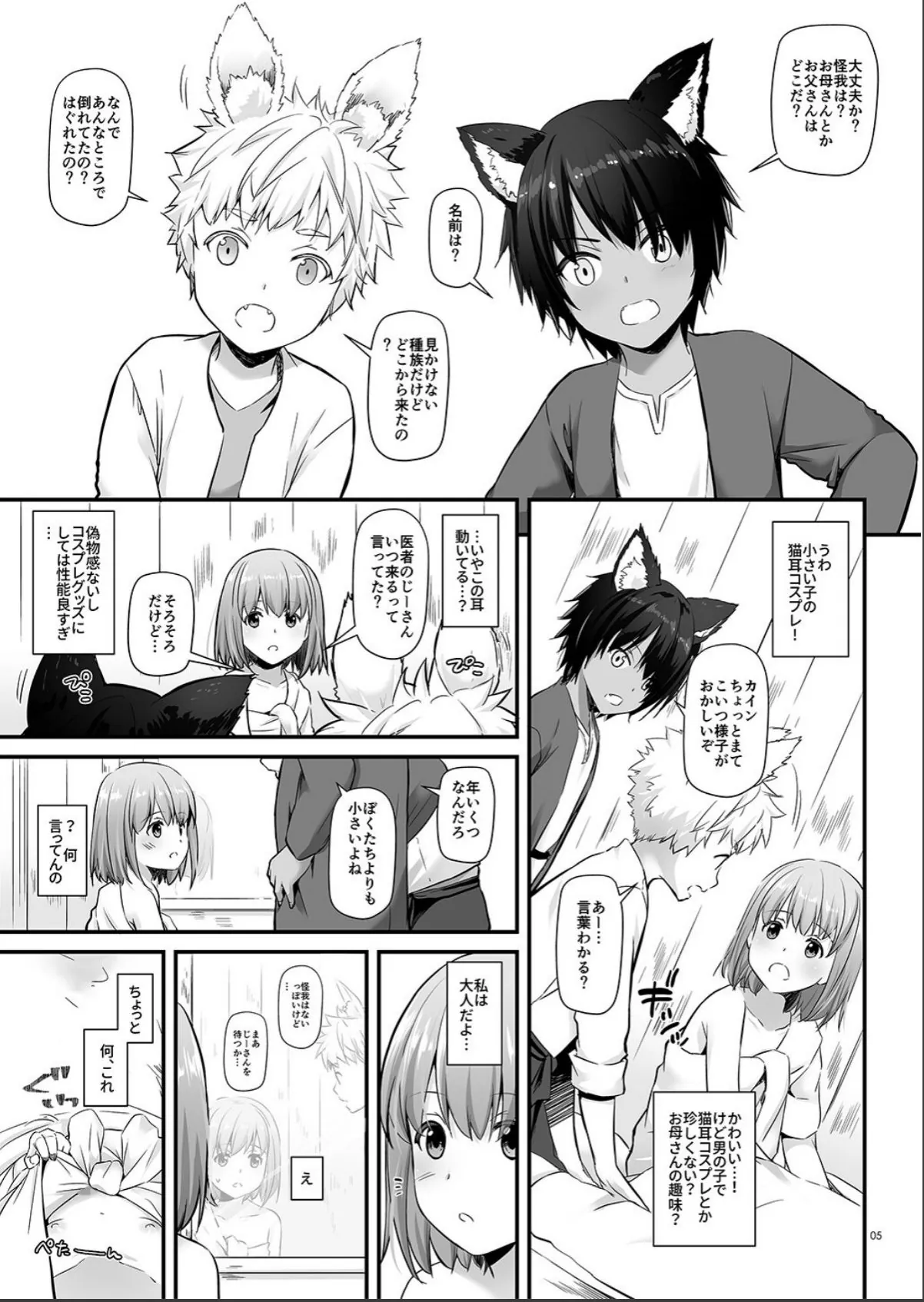 sample 5
