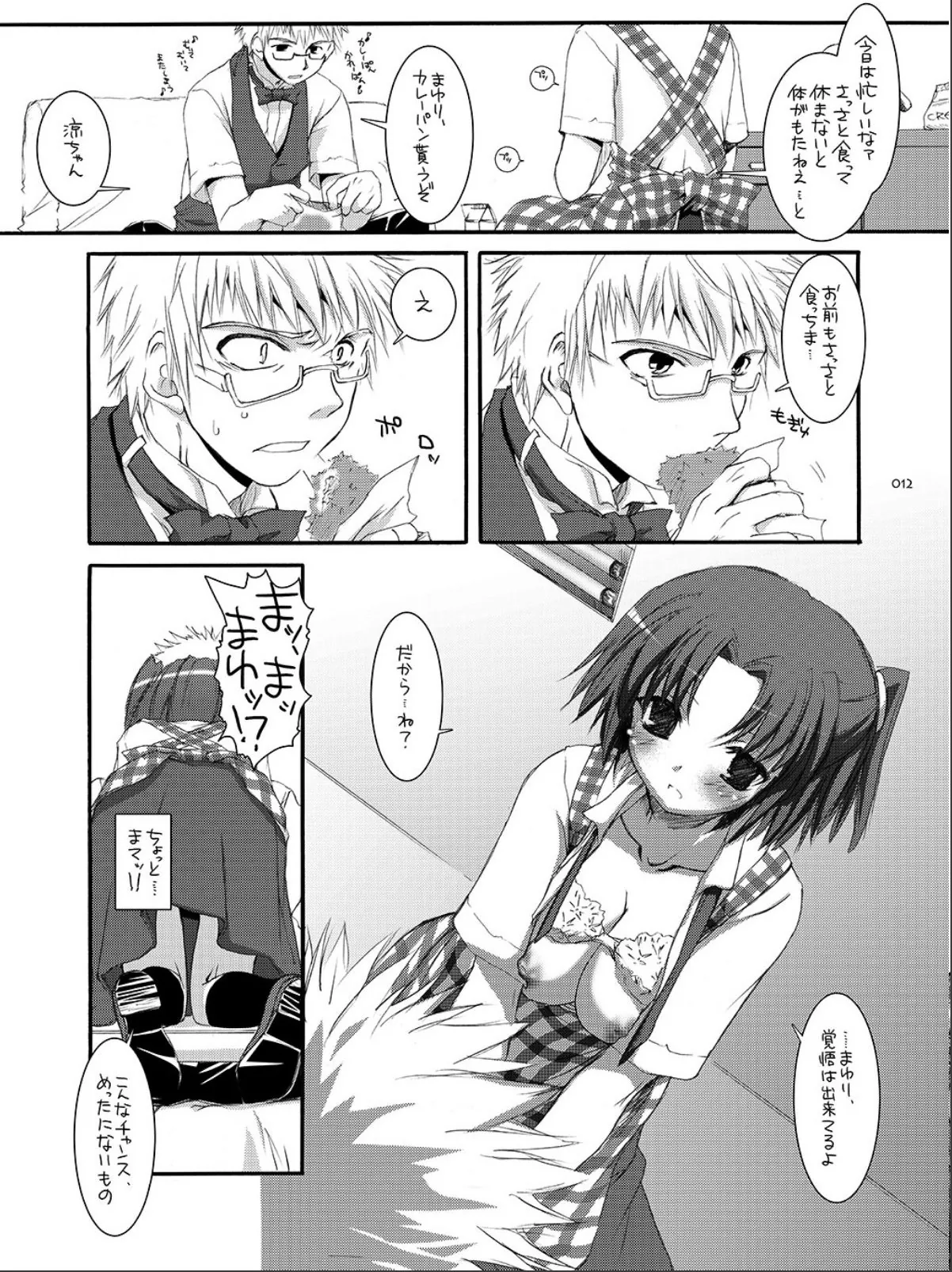sample 12