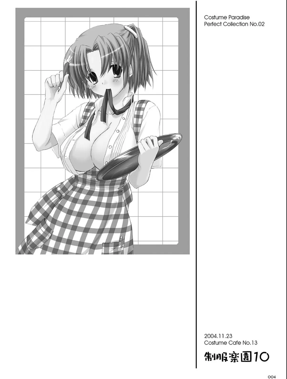 sample 4