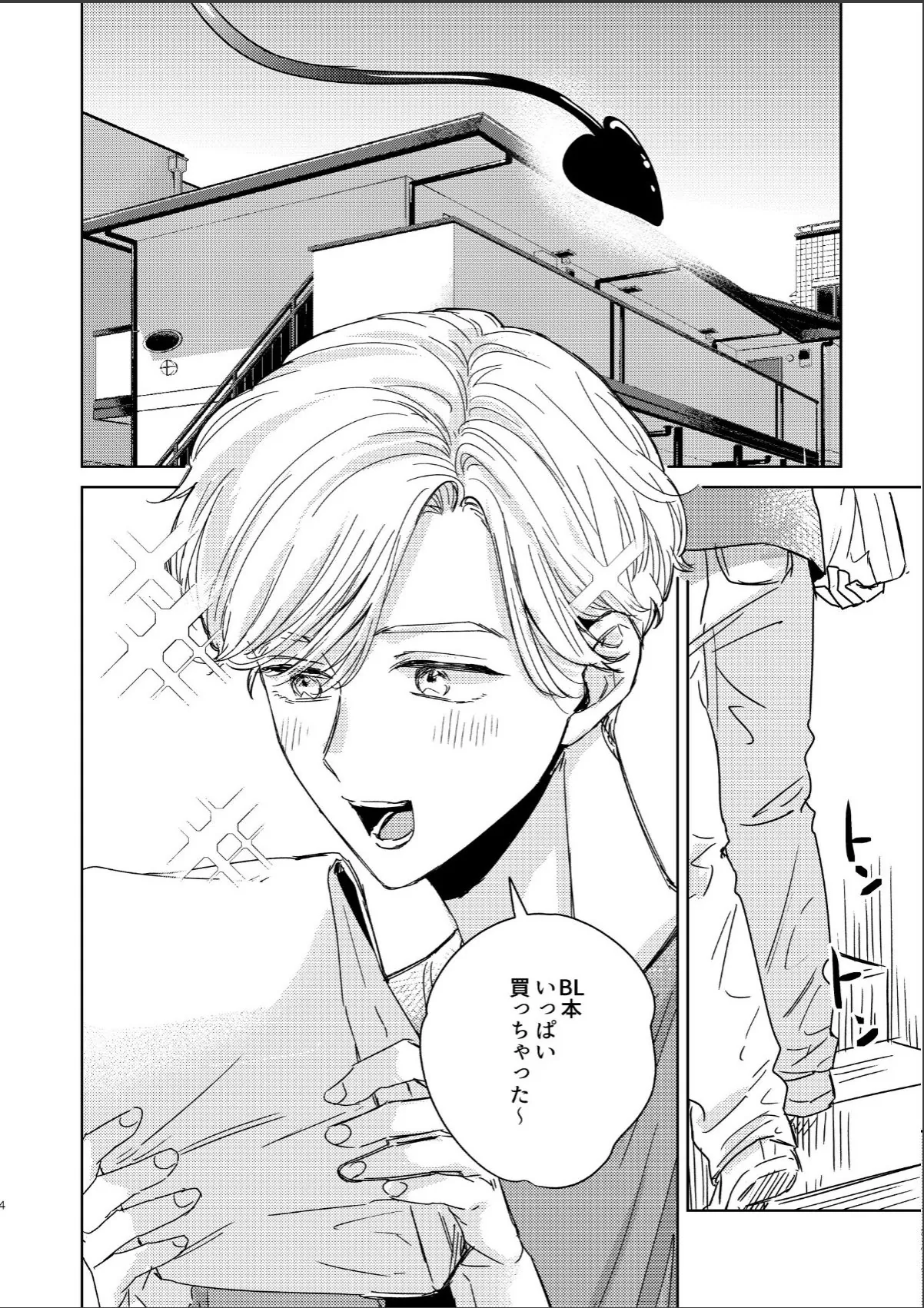 sample 4