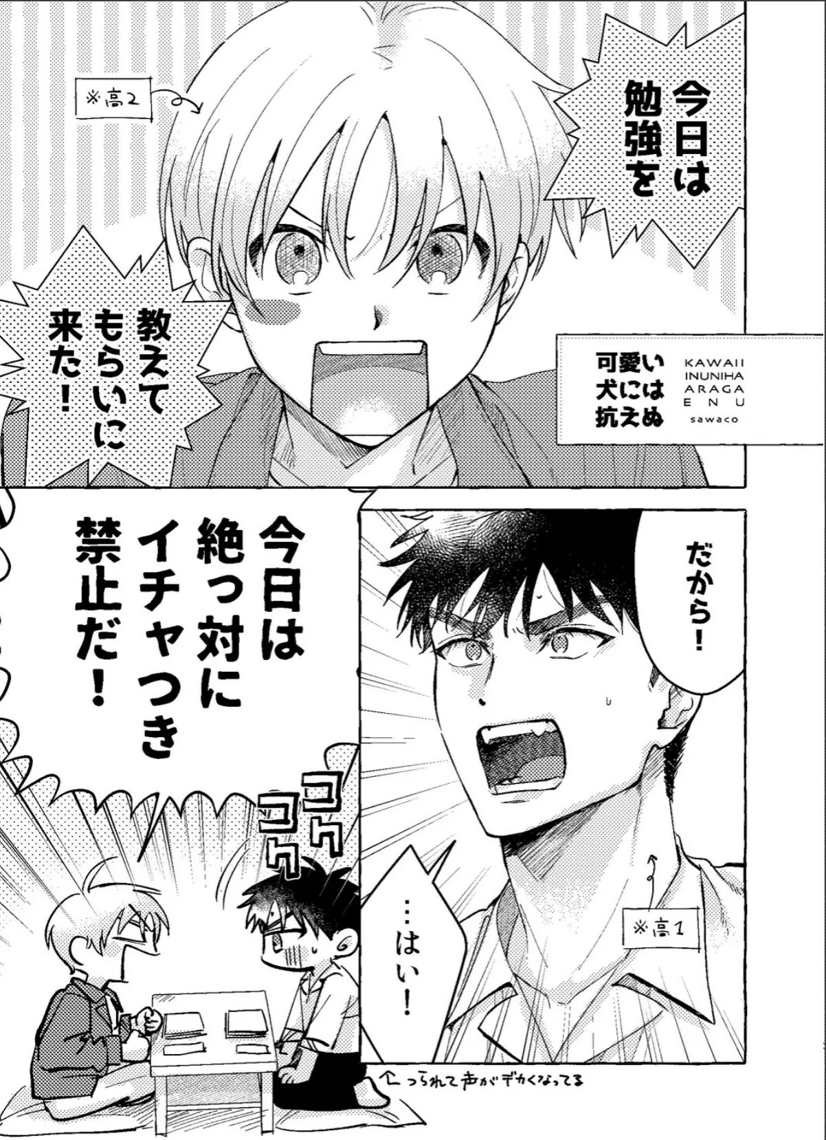 sample 3