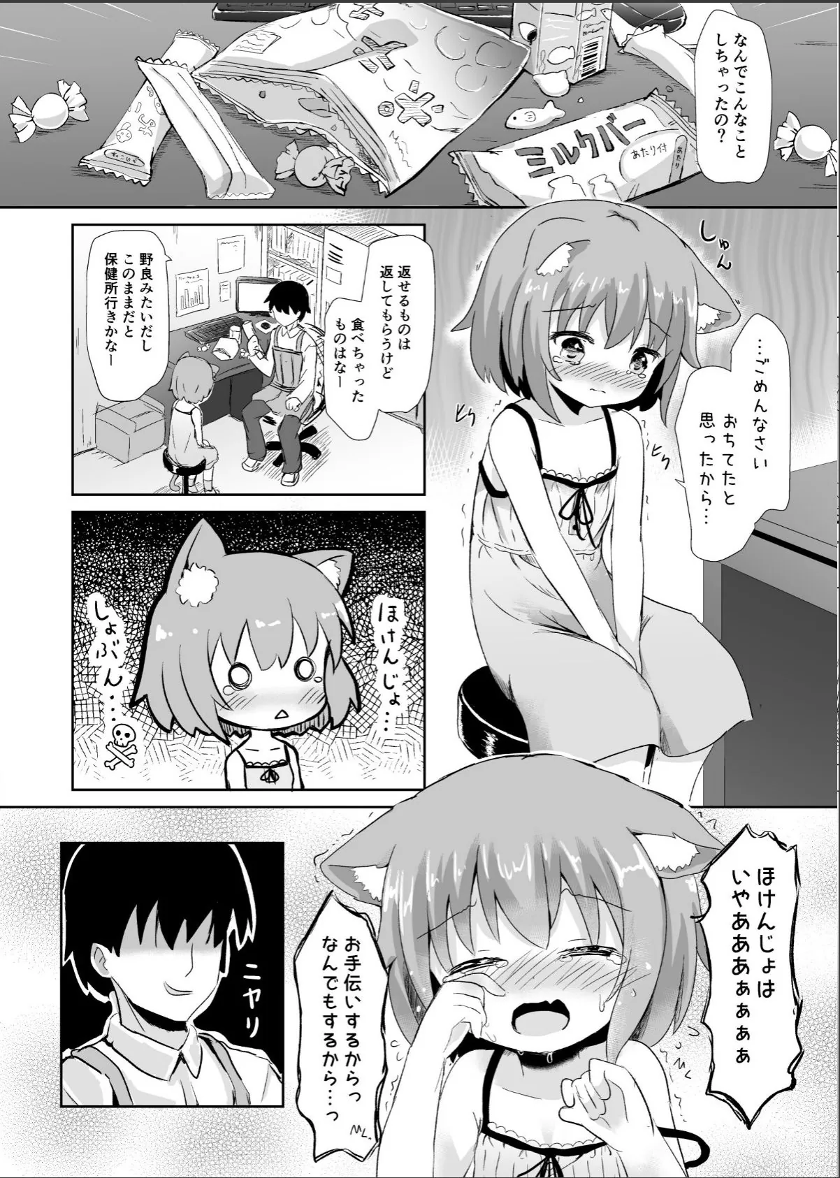 sample 6