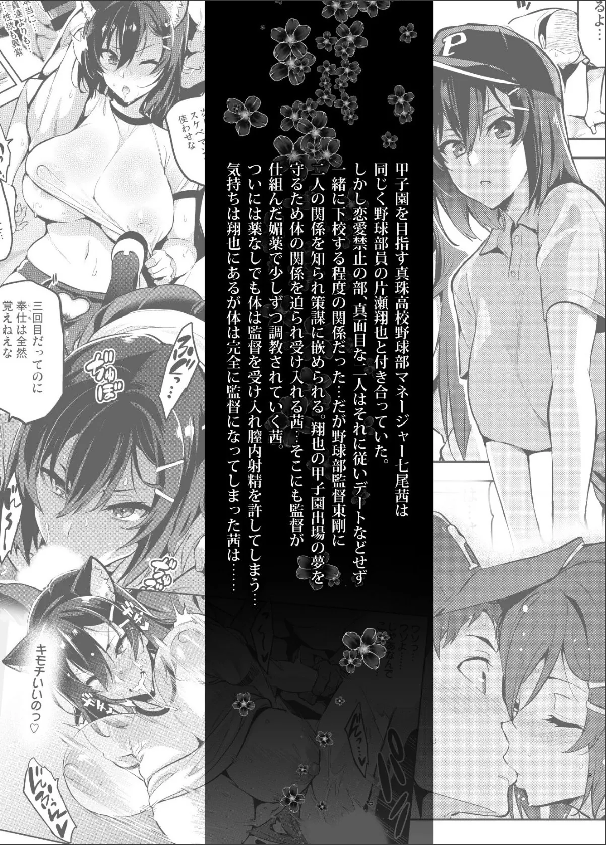 sample 3