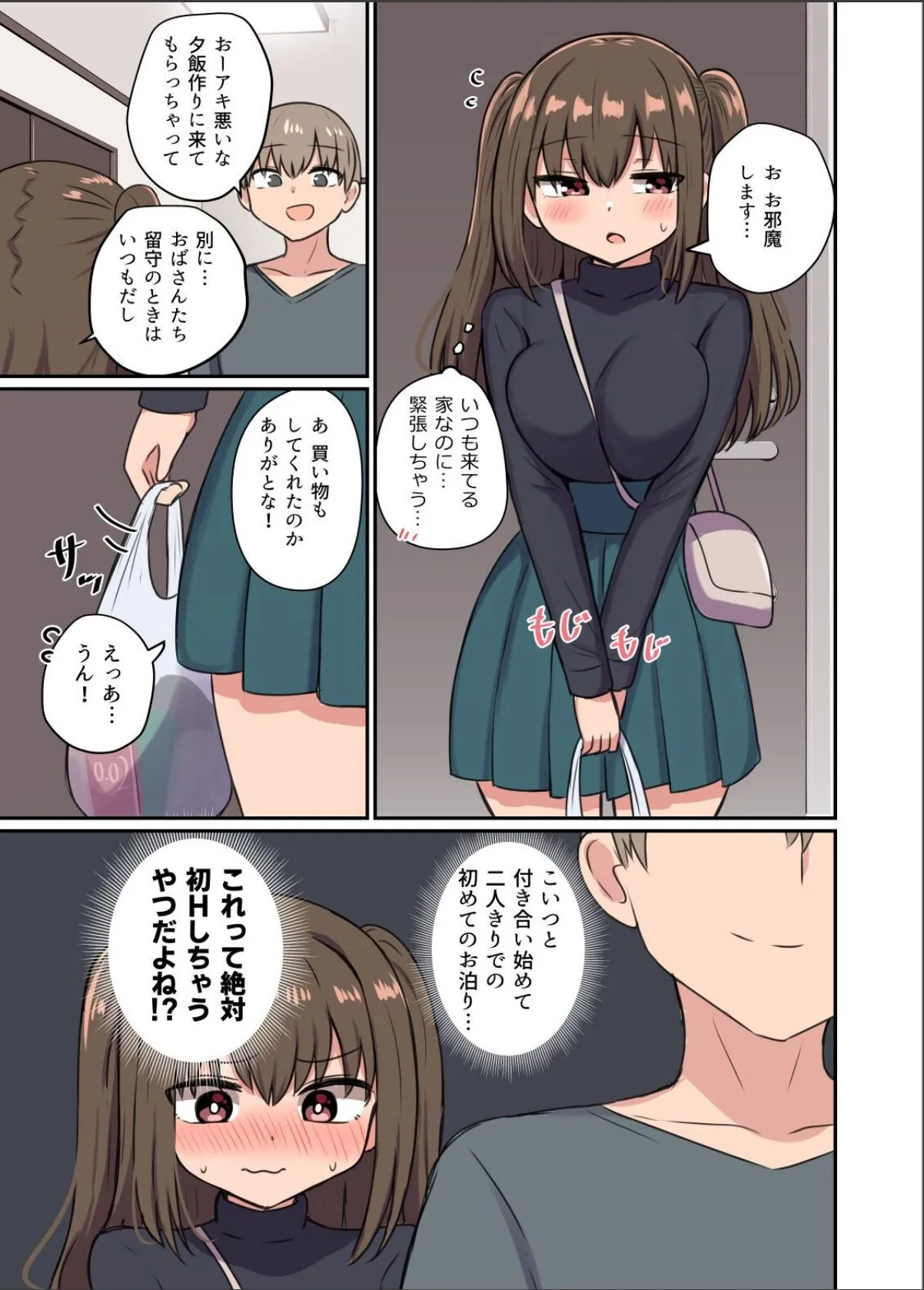 sample 5