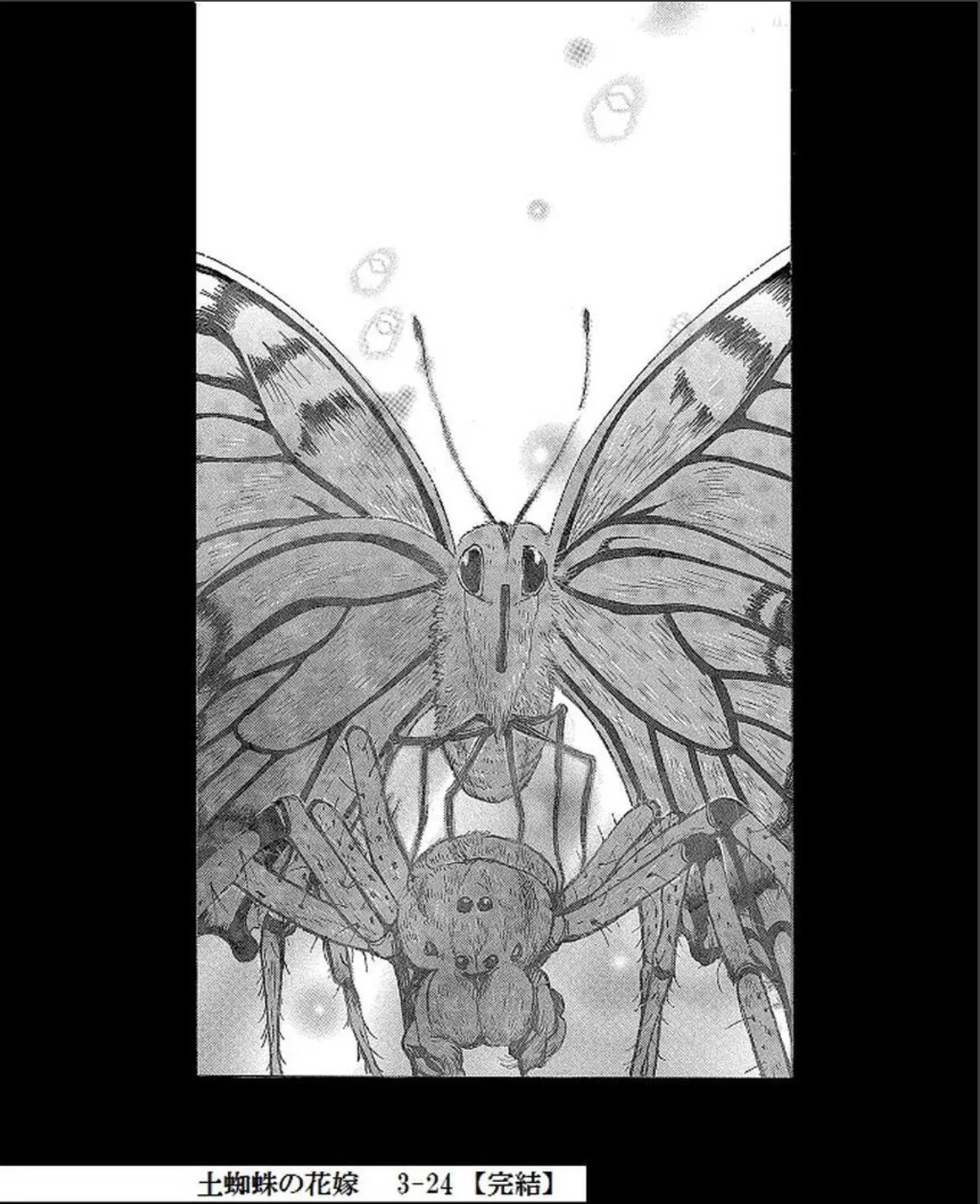 sample 2
