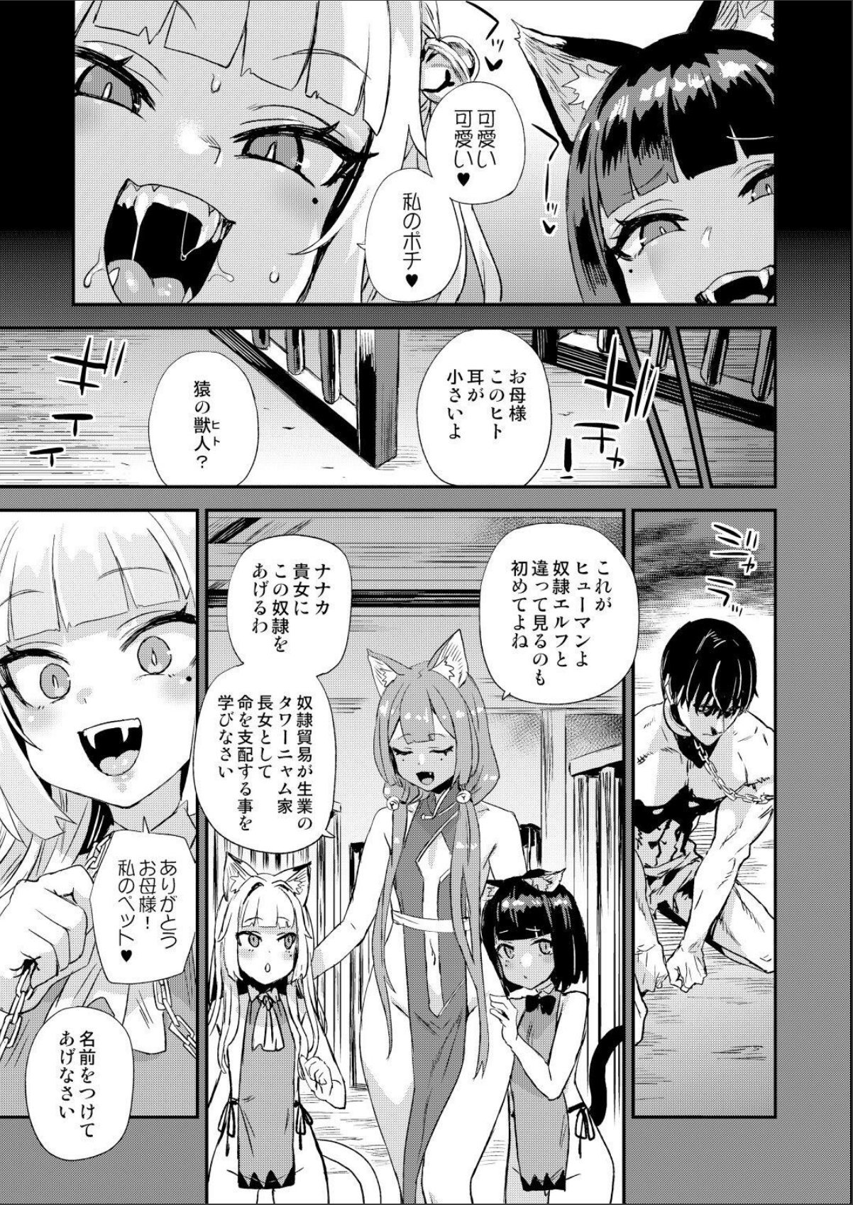 sample 5