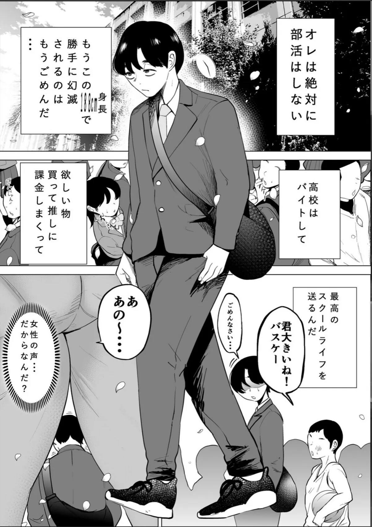sample 5