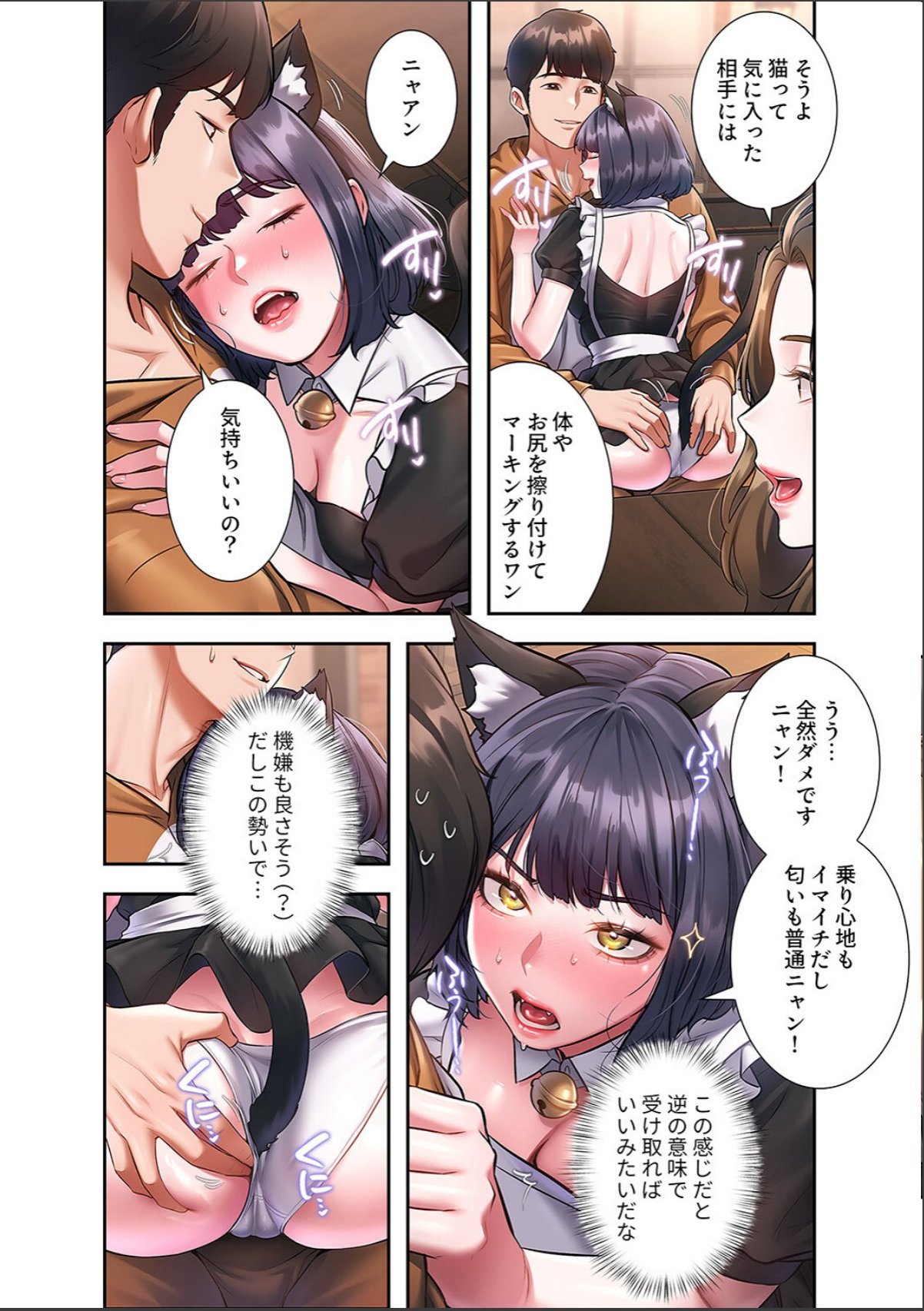 sample 12